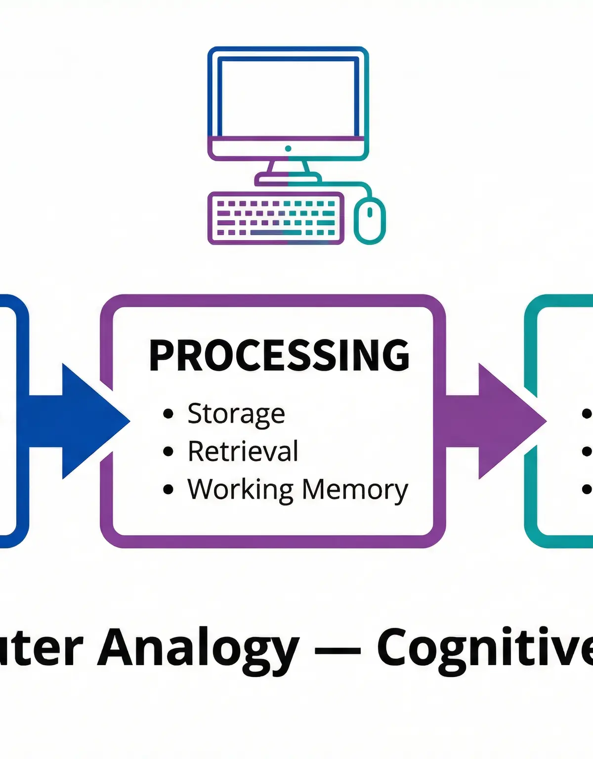 Cognitive Approach – Psychology – A-Level