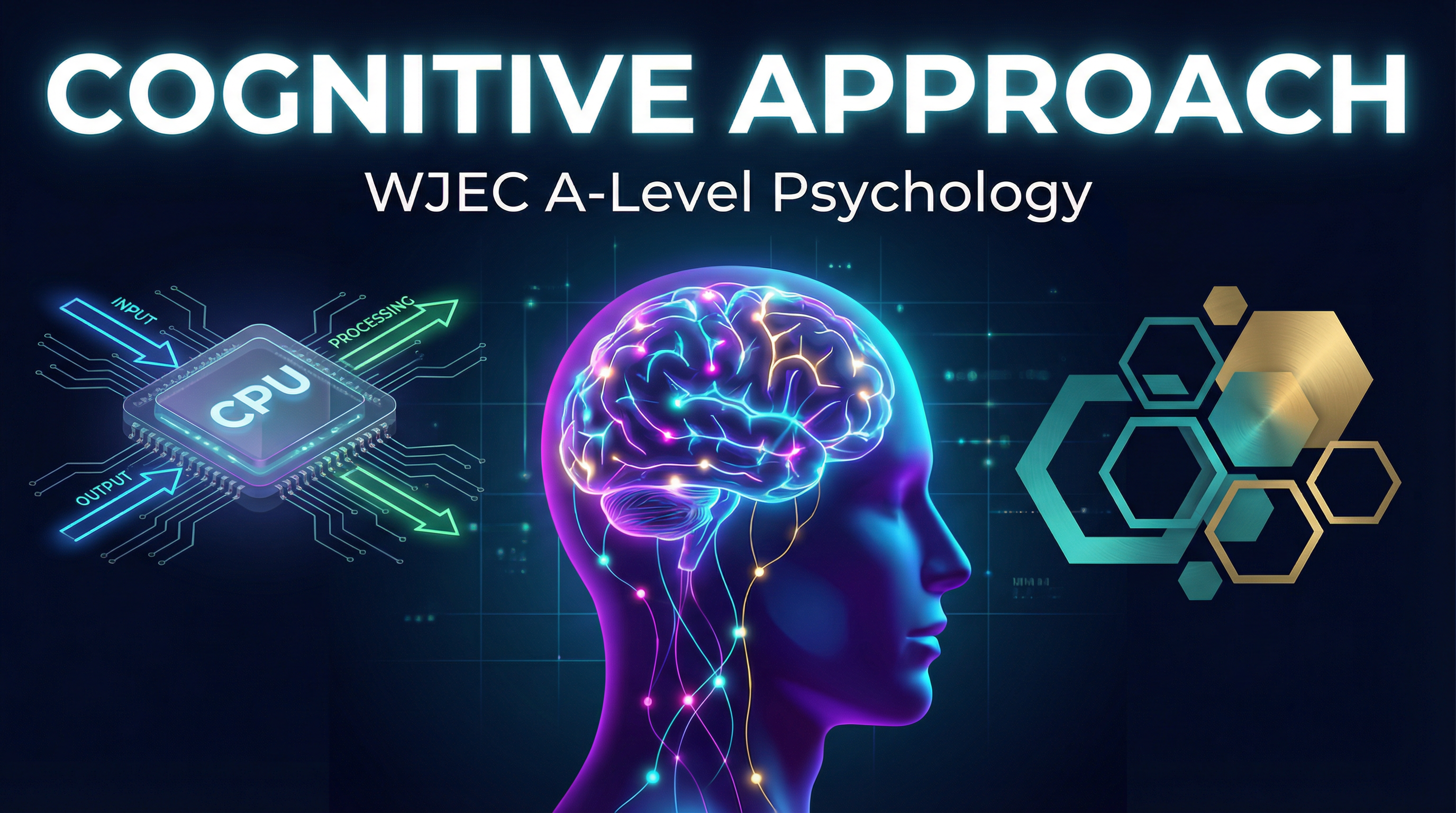 Cognitive Approach – Psychology – A-Level