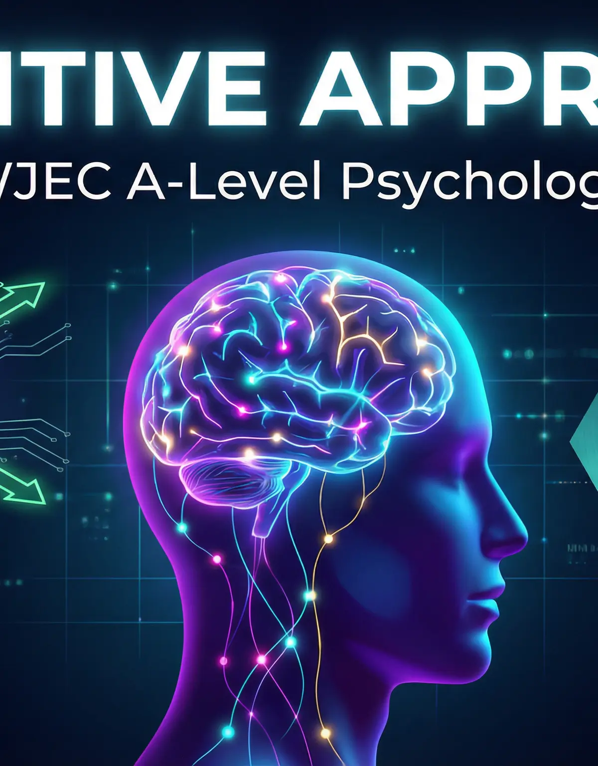 Cognitive Approach – Psychology – A-Level