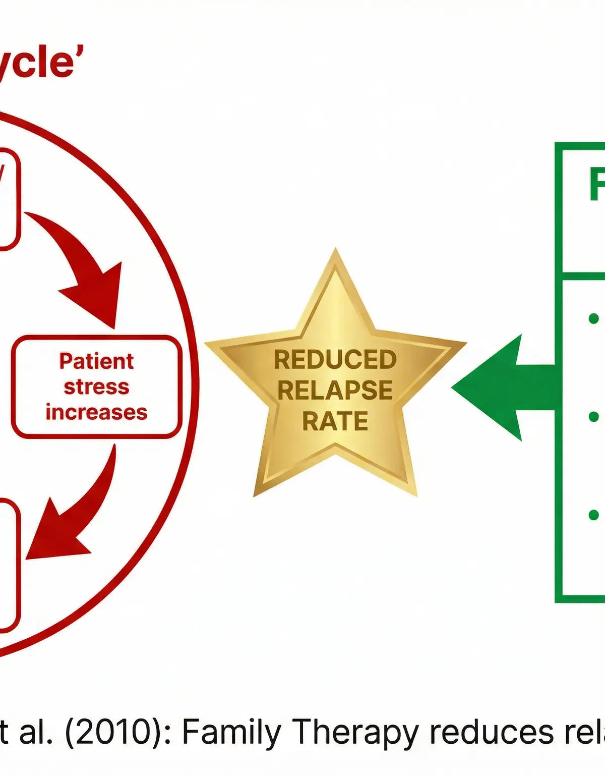 Family Therapy and the High EE Cycle