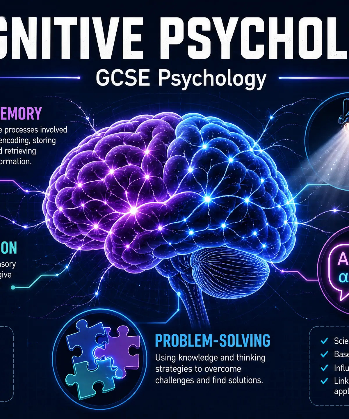 Cognitive Psychology Overview