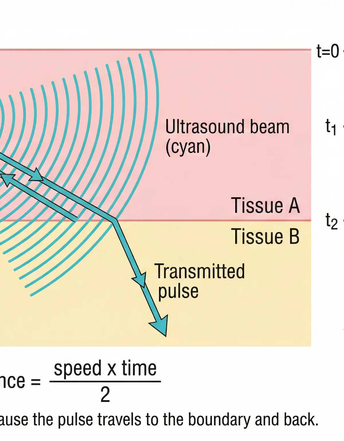The principle of medical ultrasound imaging.