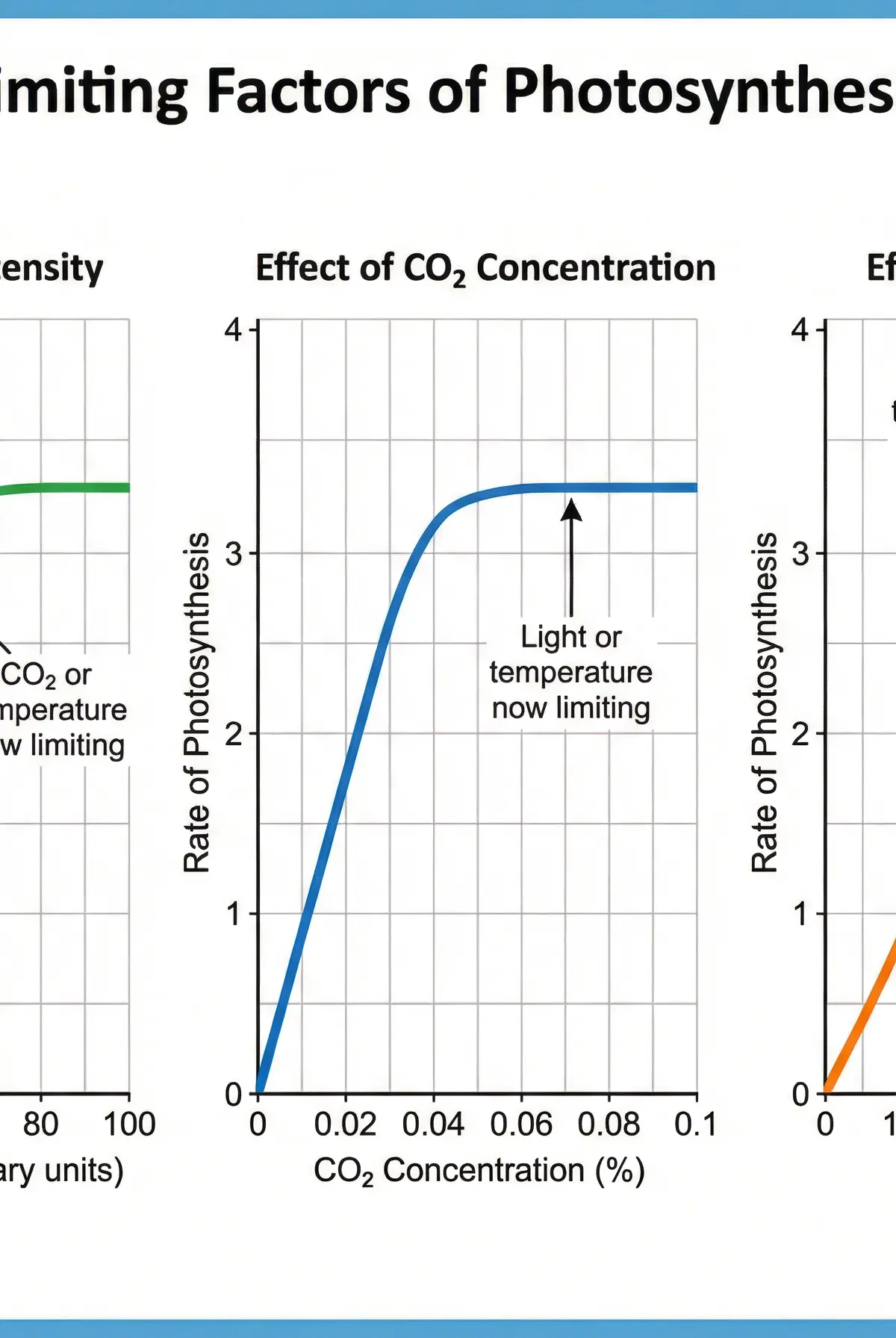 The three limiting factors of photosynthesis.