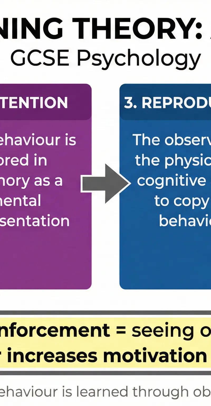 Diagram of the ARRM Model in SLT
