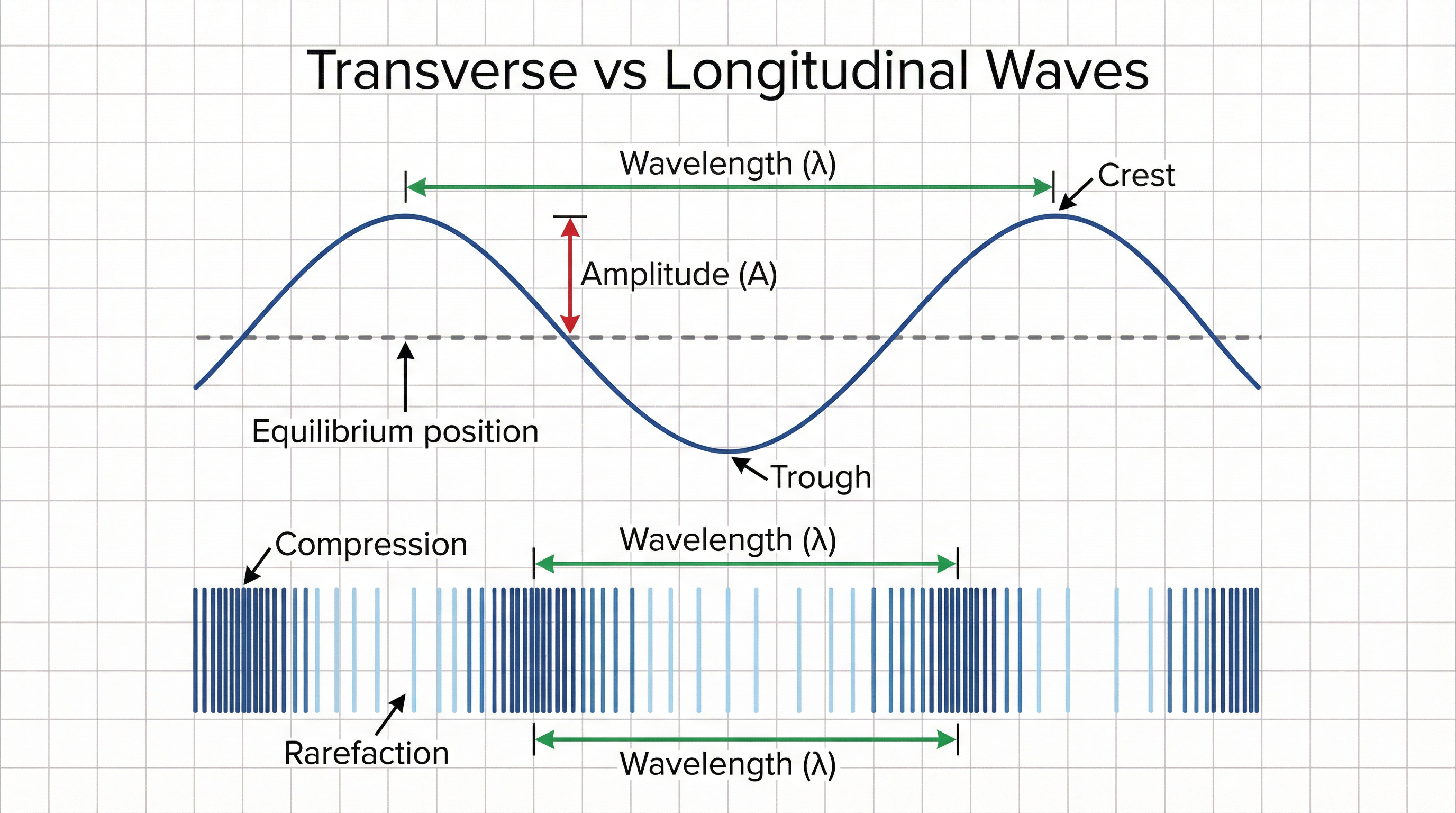 Diagram comparing transverse and longitudinal waves.