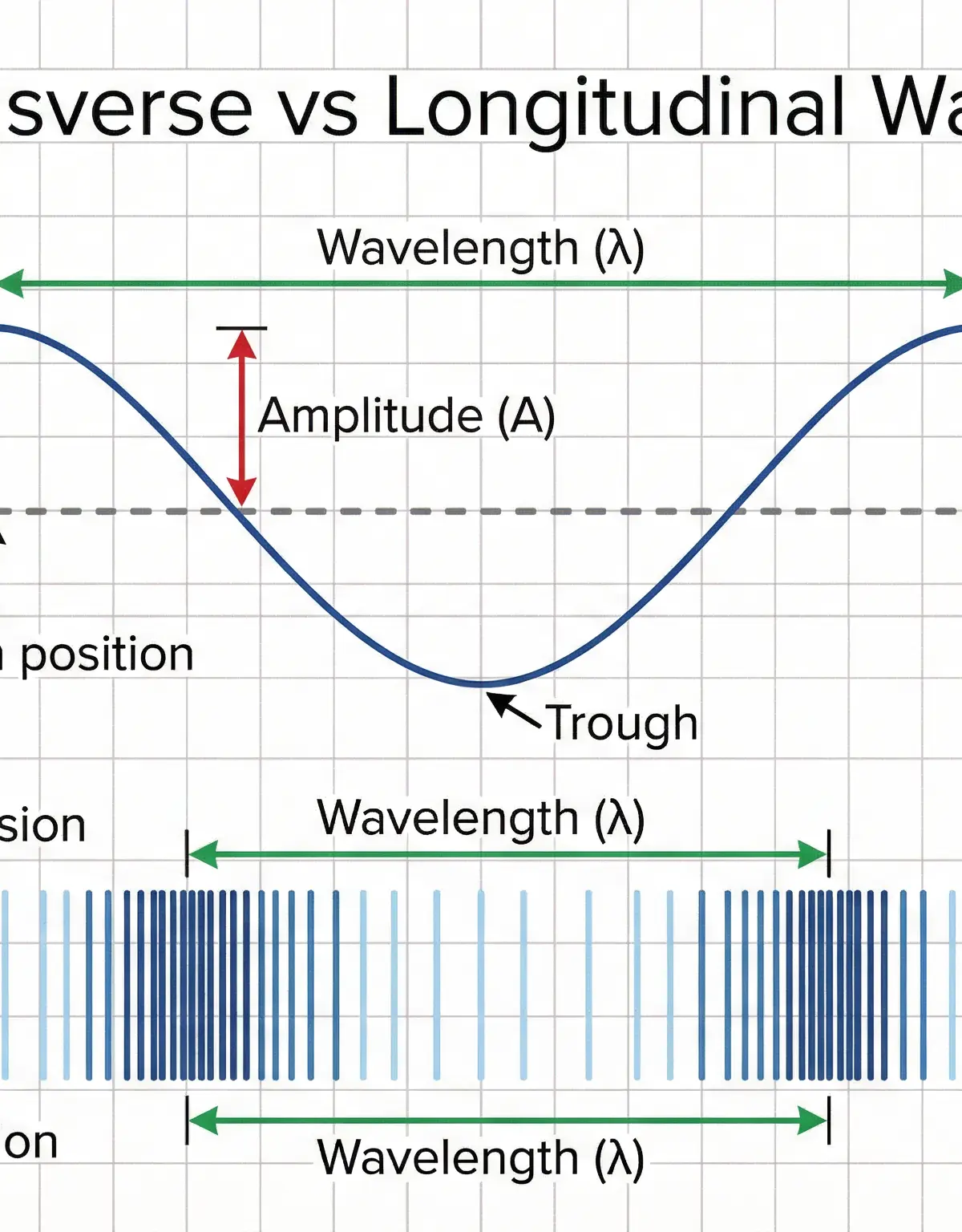 Diagram comparing transverse and longitudinal waves.