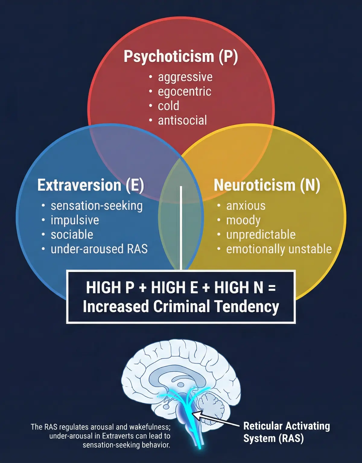 Psychological Explanations of Criminality โ Psychology โ GCSE
