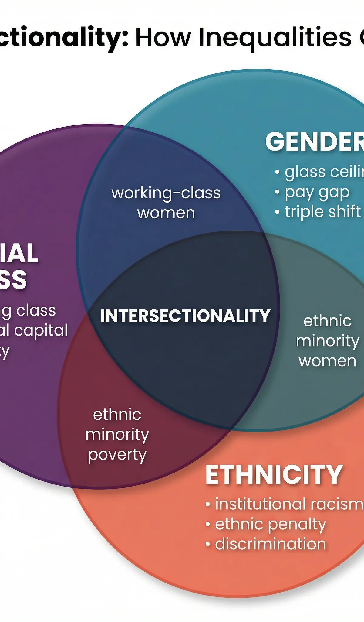 The Impact of Social Class, Gender, and Ethnicity – Sociology – GCSE