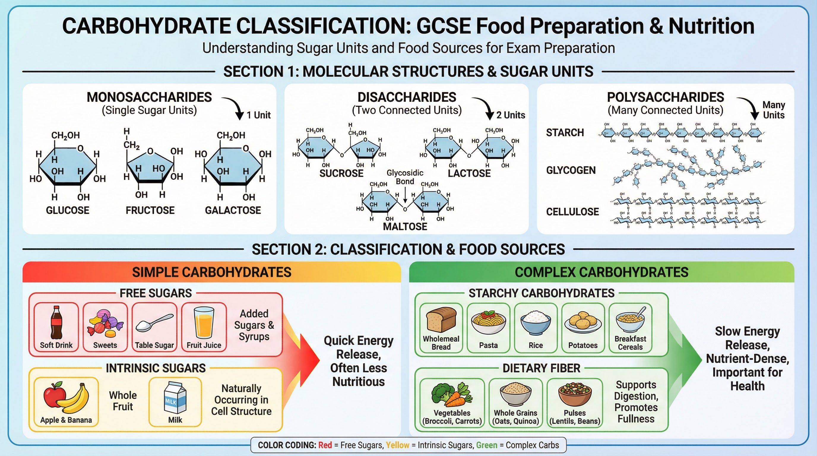 Macronutrients – Food Preparation and Nutrition – GCSE