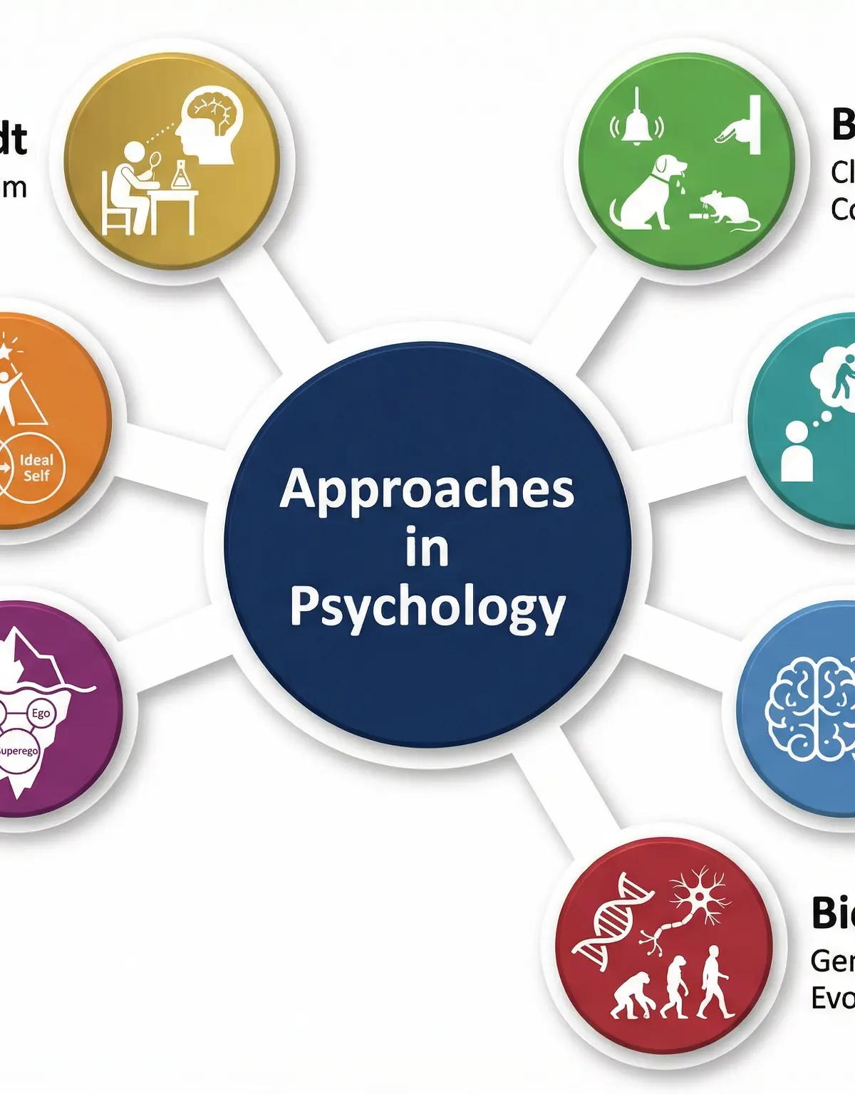 Overview of the seven psychological approaches