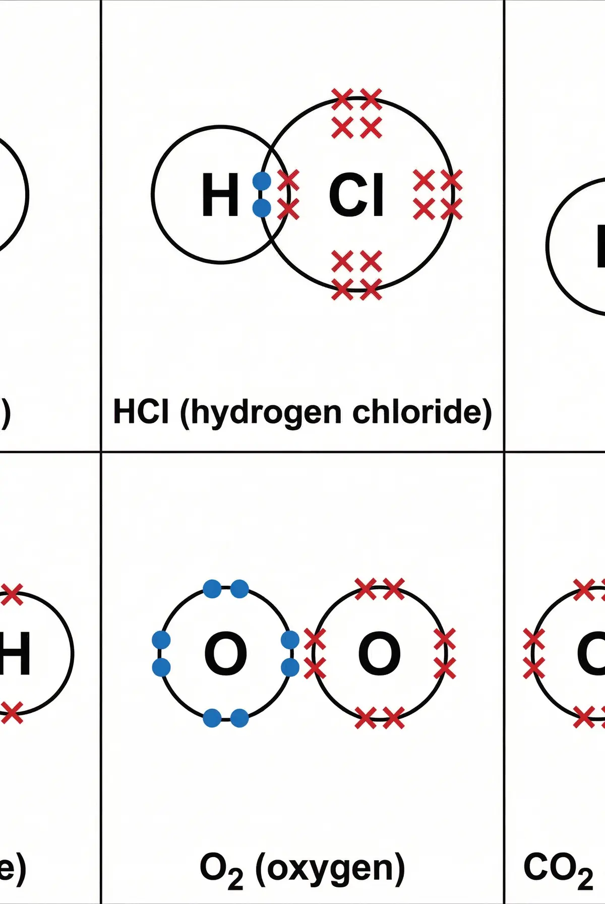 Standard dot and cross diagrams for key molecules.