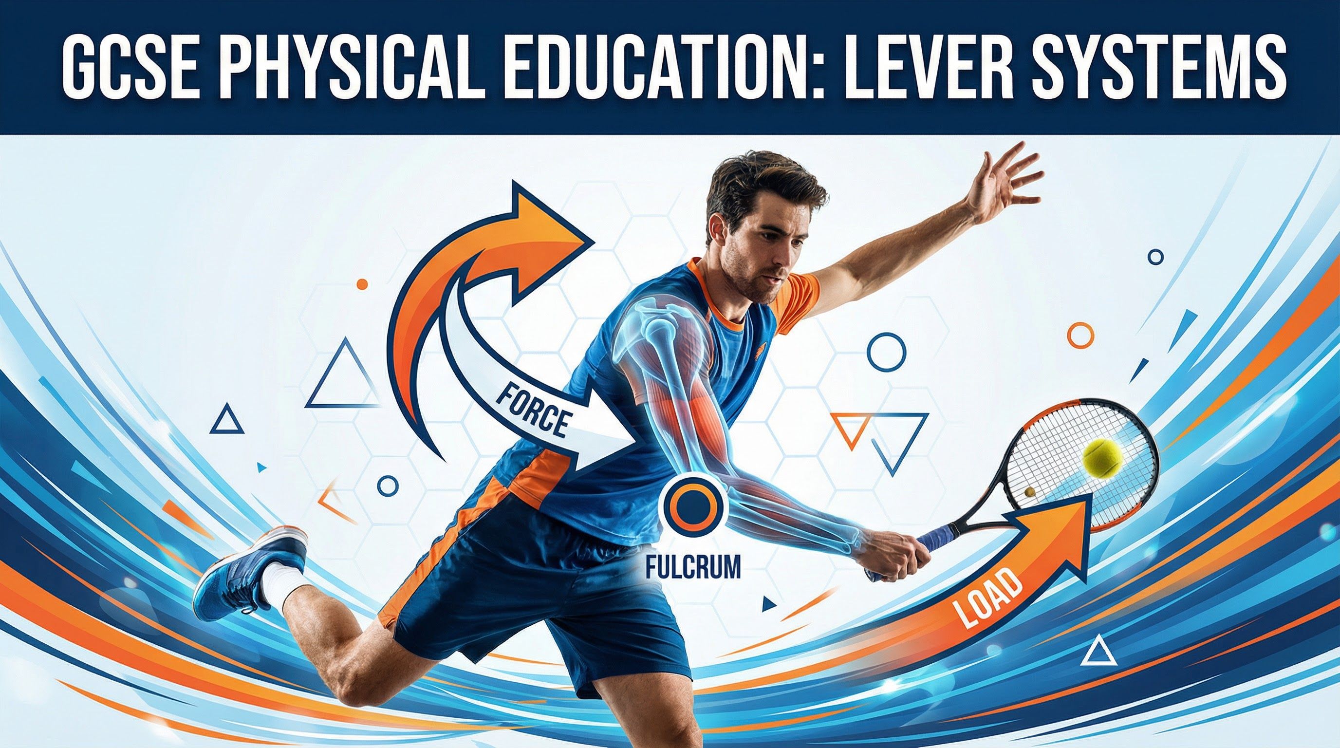 Header image for Lever Systems: Types and Application in Sport.