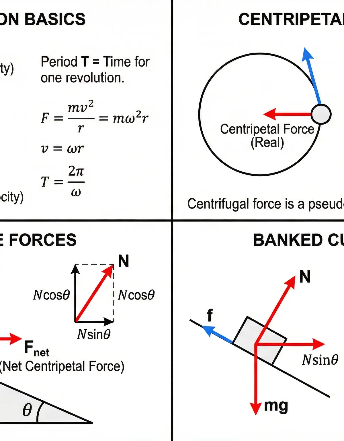 Forces in Circular Motion