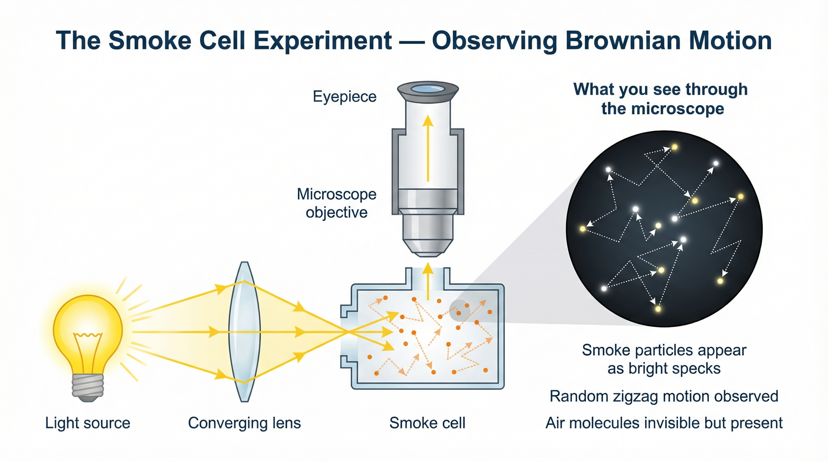 The standard smoke cell apparatus used to observe Brownian motion. Light from the side illuminates smoke particles, which are then viewed through the microscope.