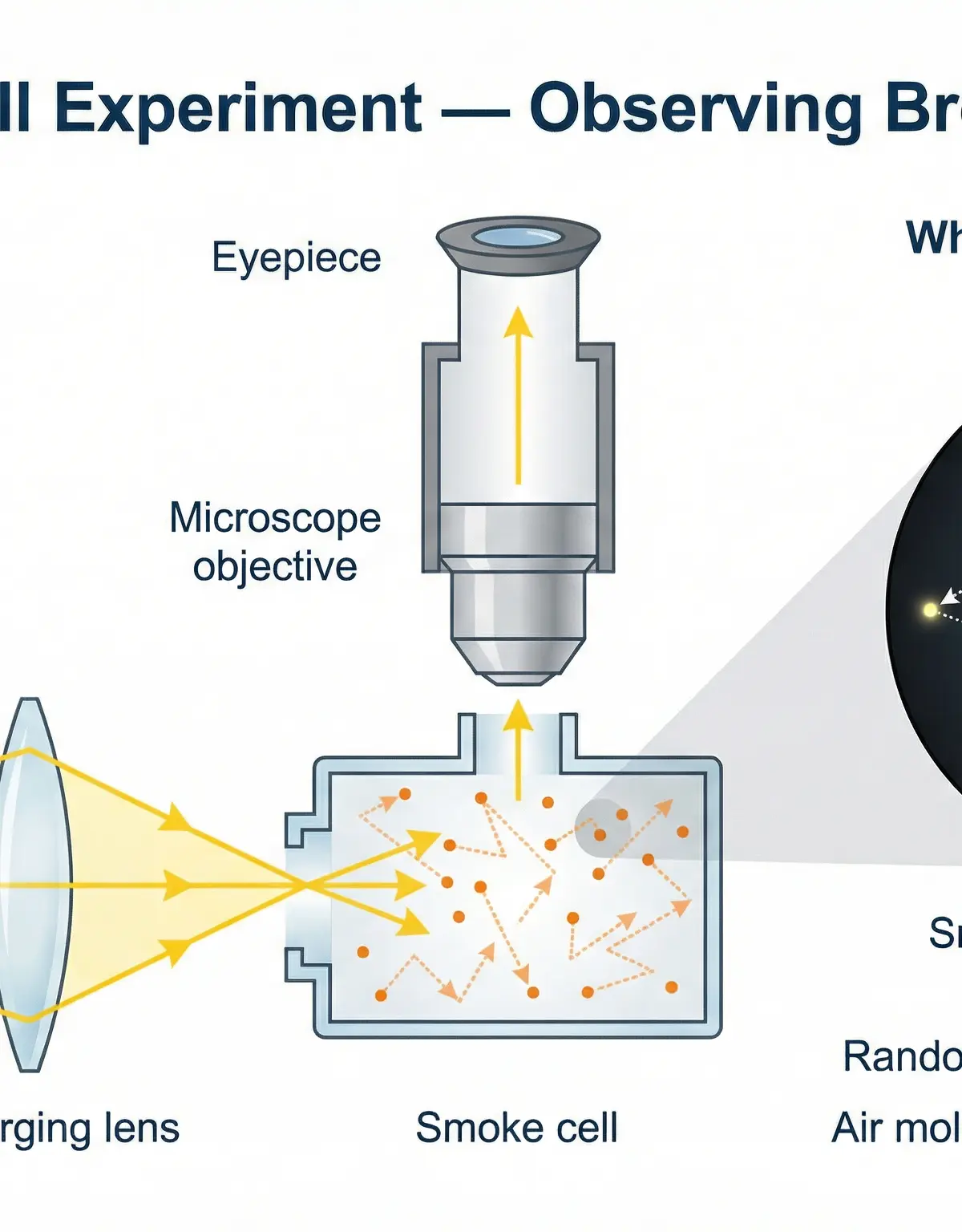 The standard smoke cell apparatus used to observe Brownian motion. Light from the side illuminates smoke particles, which are then viewed through the microscope.