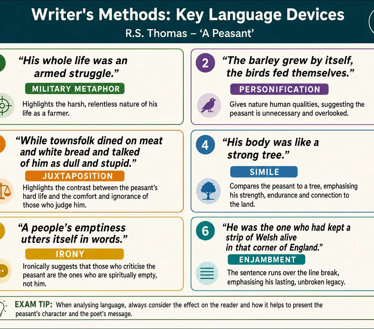 Writer's Methods: Key Language Devices