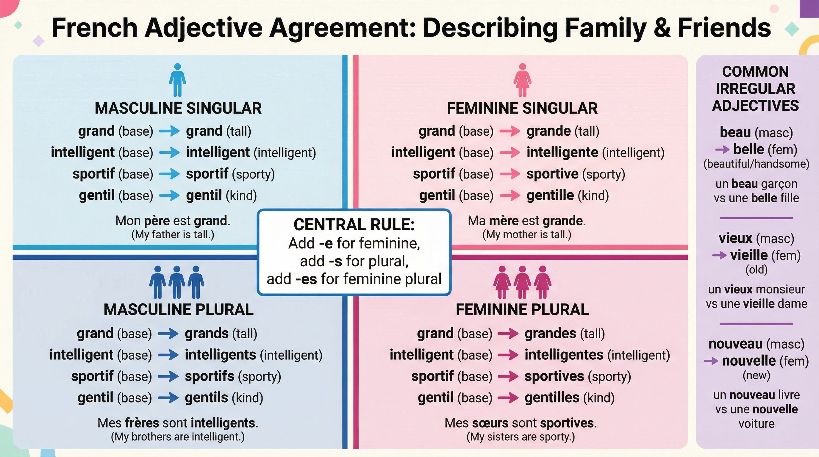 Diagram explaining French adjective agreement rules