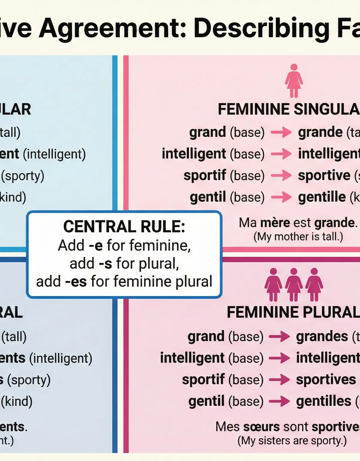 Diagram explaining French adjective agreement rules