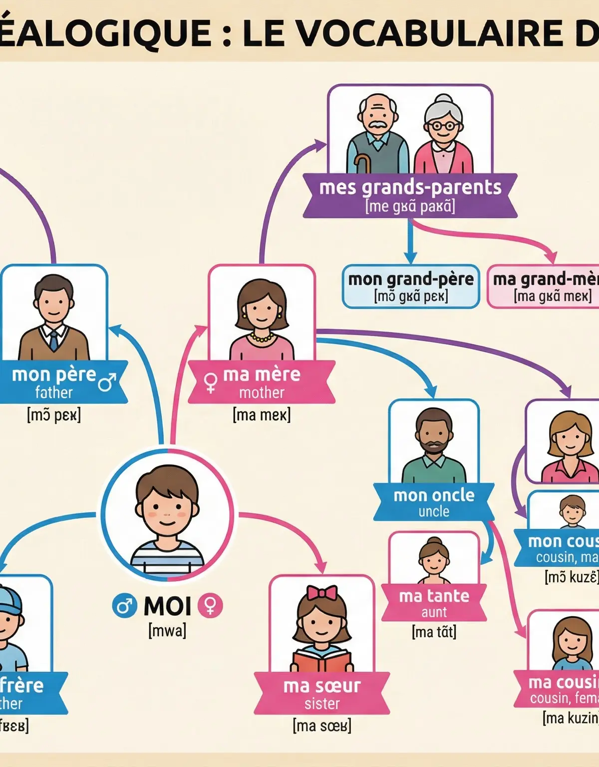 Diagram of French family vocabulary and possessive adjectives