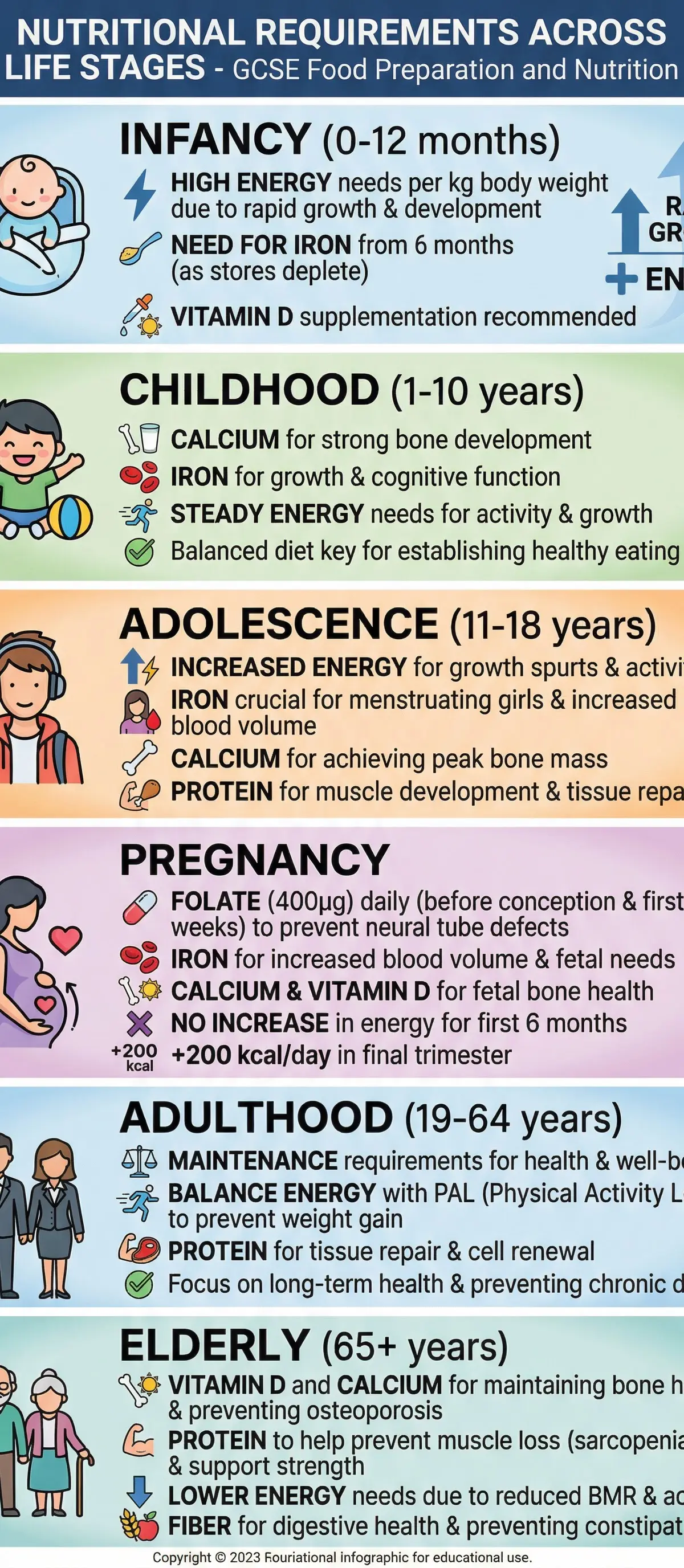 Nutritional needs from infancy to older adulthood.