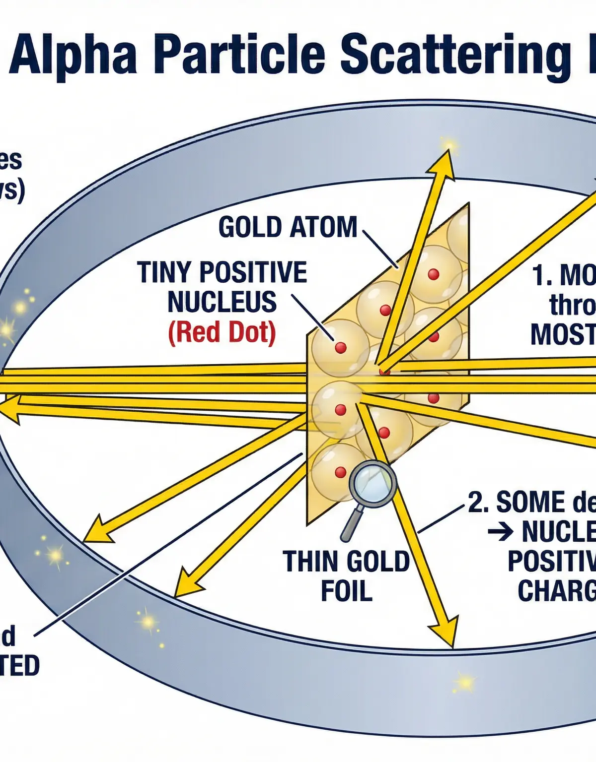 The Rutherford Alpha Particle Scattering Experiment