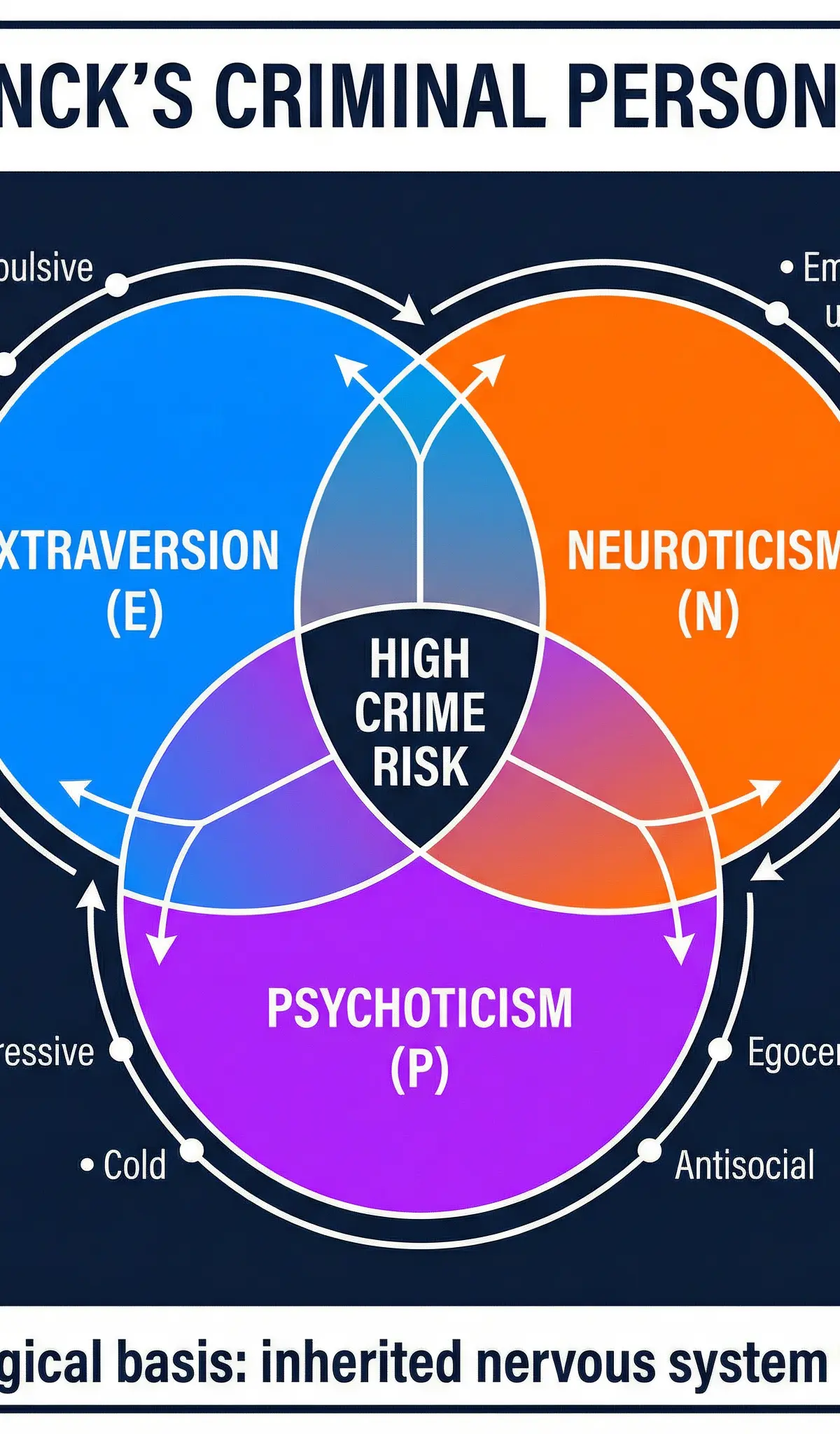 Eysenck's Criminal Personality Theory — the three dimensions and their overlap