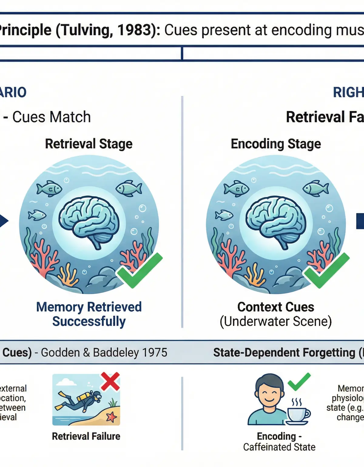 Retrieval Failure Theory: Encoding Specificity Principle and its two sub-types