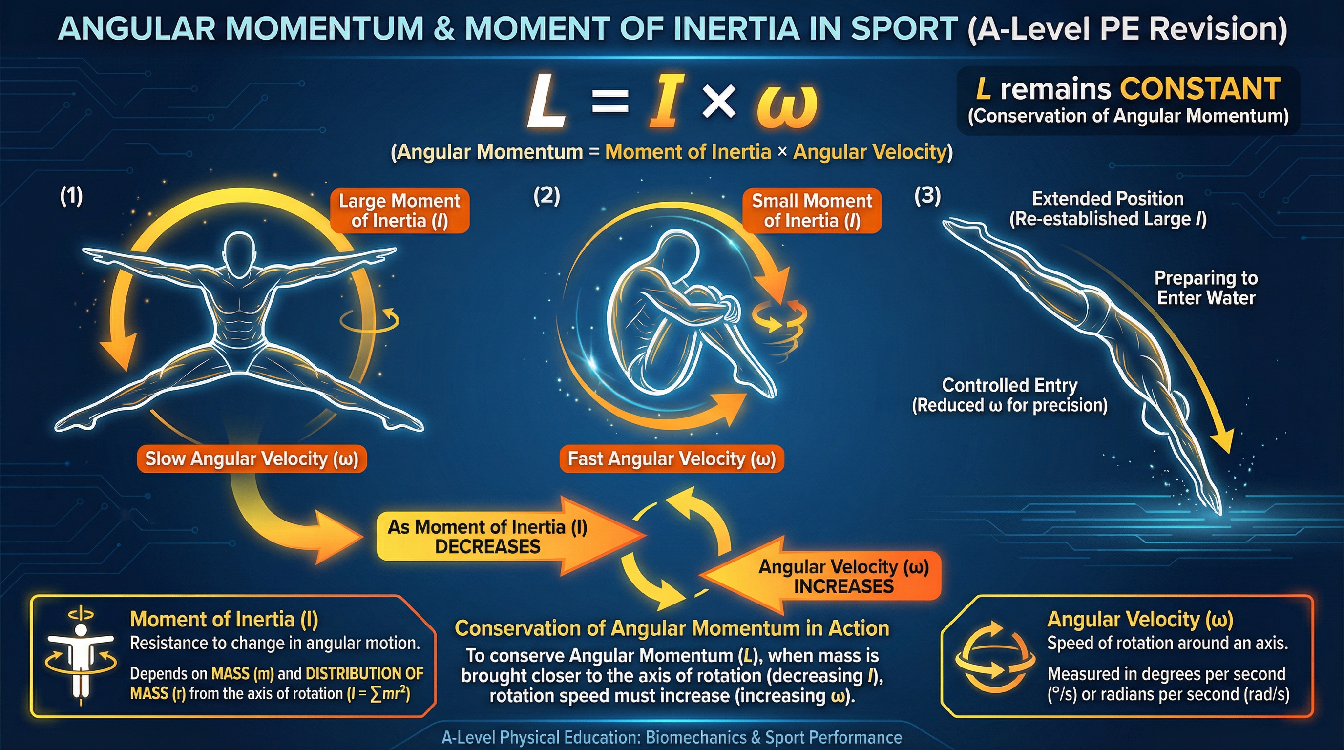 Biomechanical Principles – Physical Education – A-Level