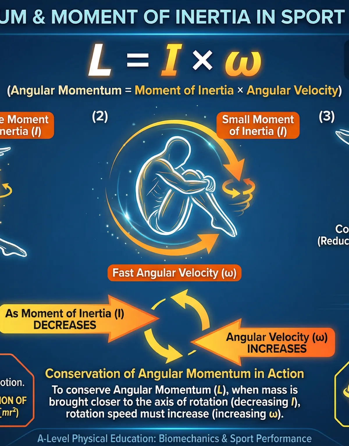 Biomechanical Principles – Physical Education – A-Level