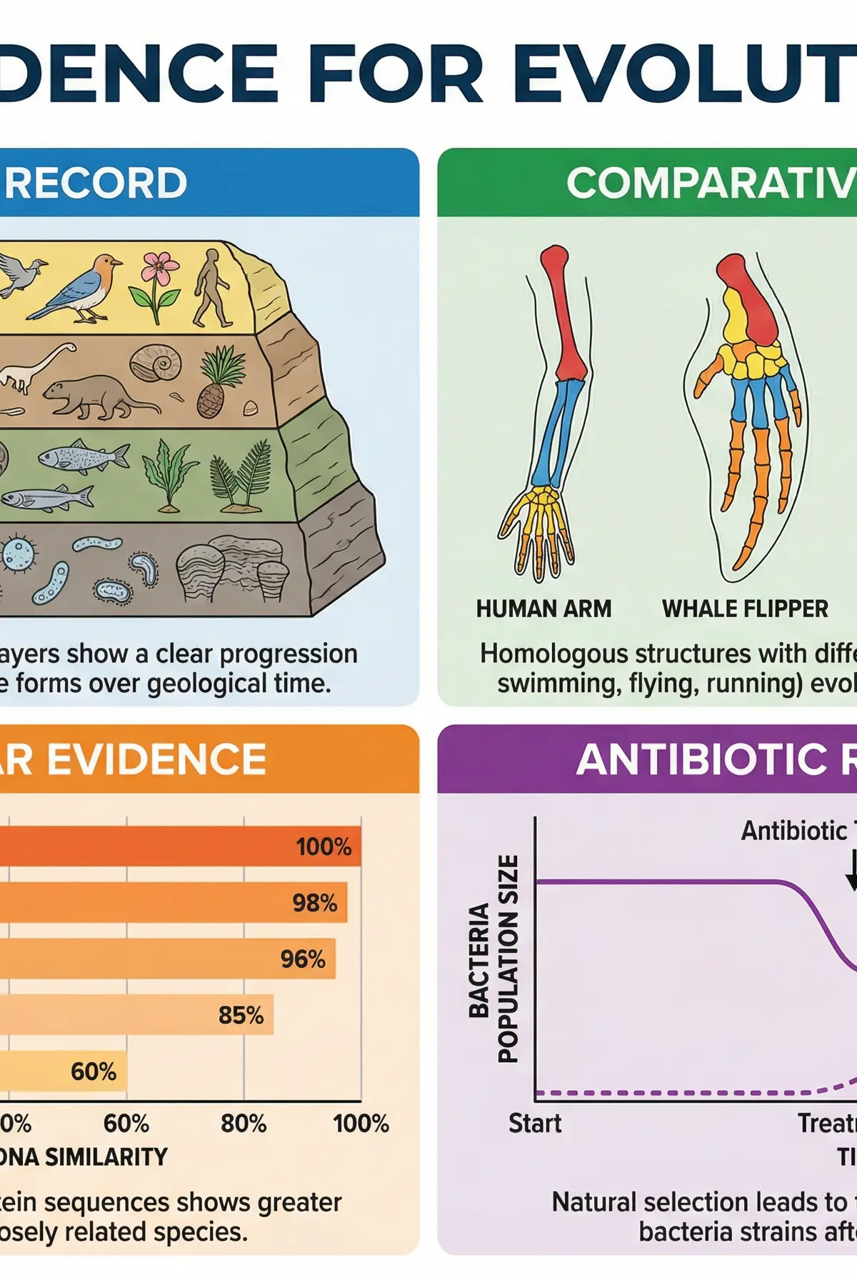 Evidence for Evolution