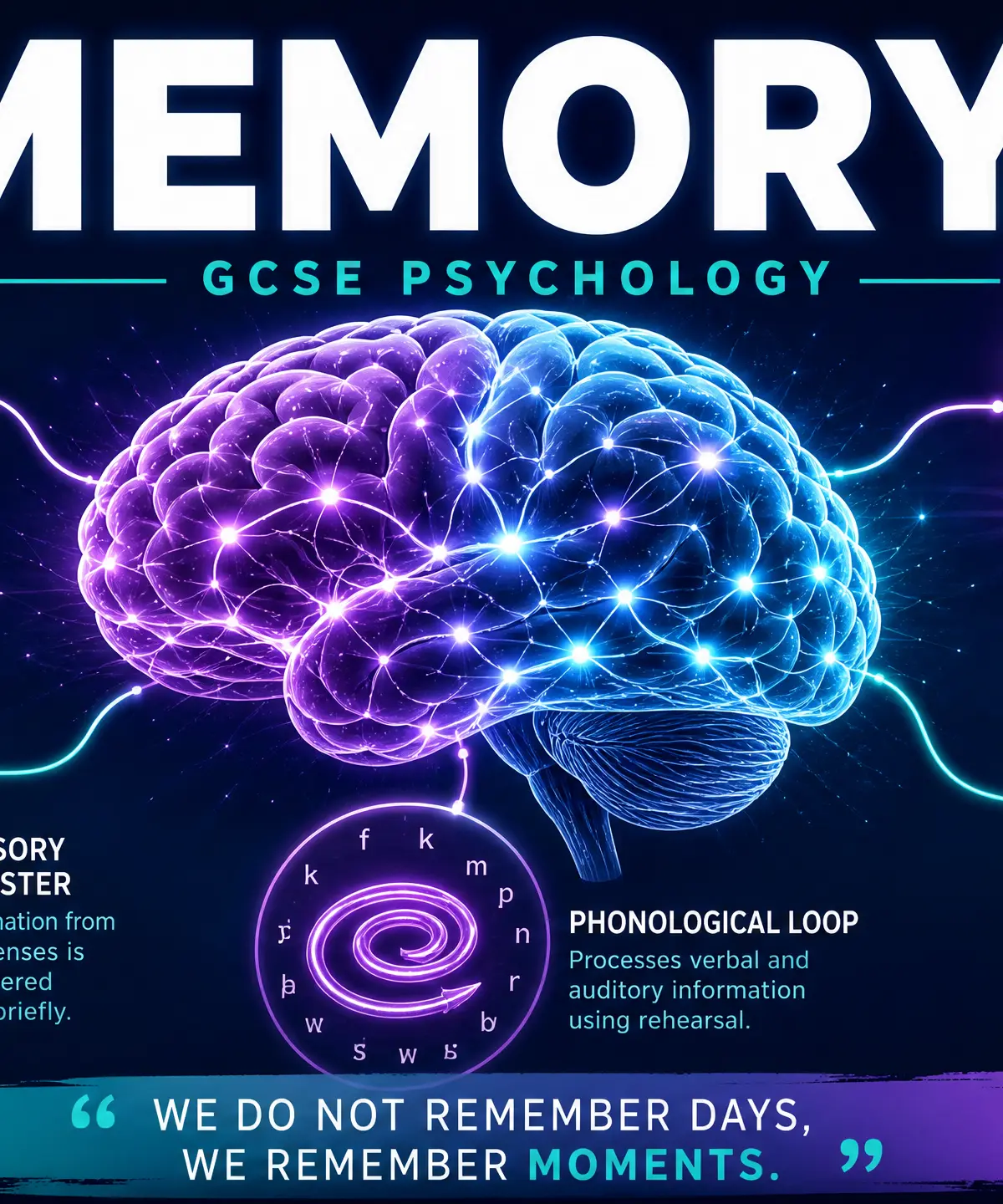GCSE Psychology: Memory