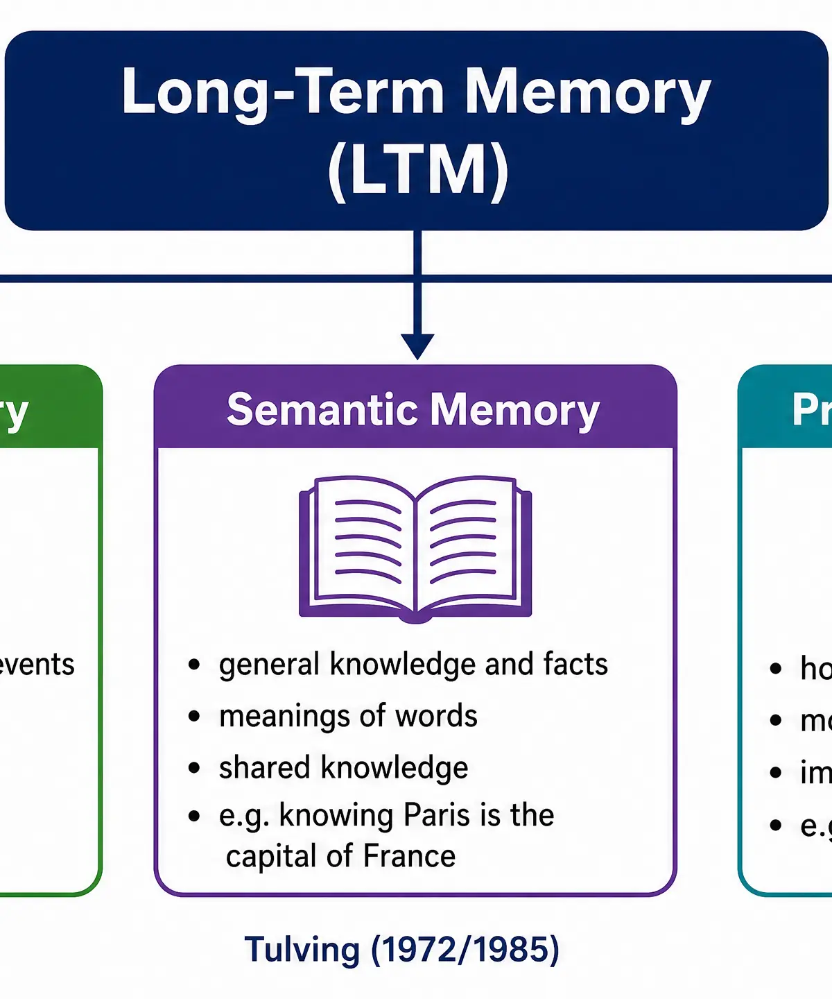 Types of Long-Term Memory (Tulving)