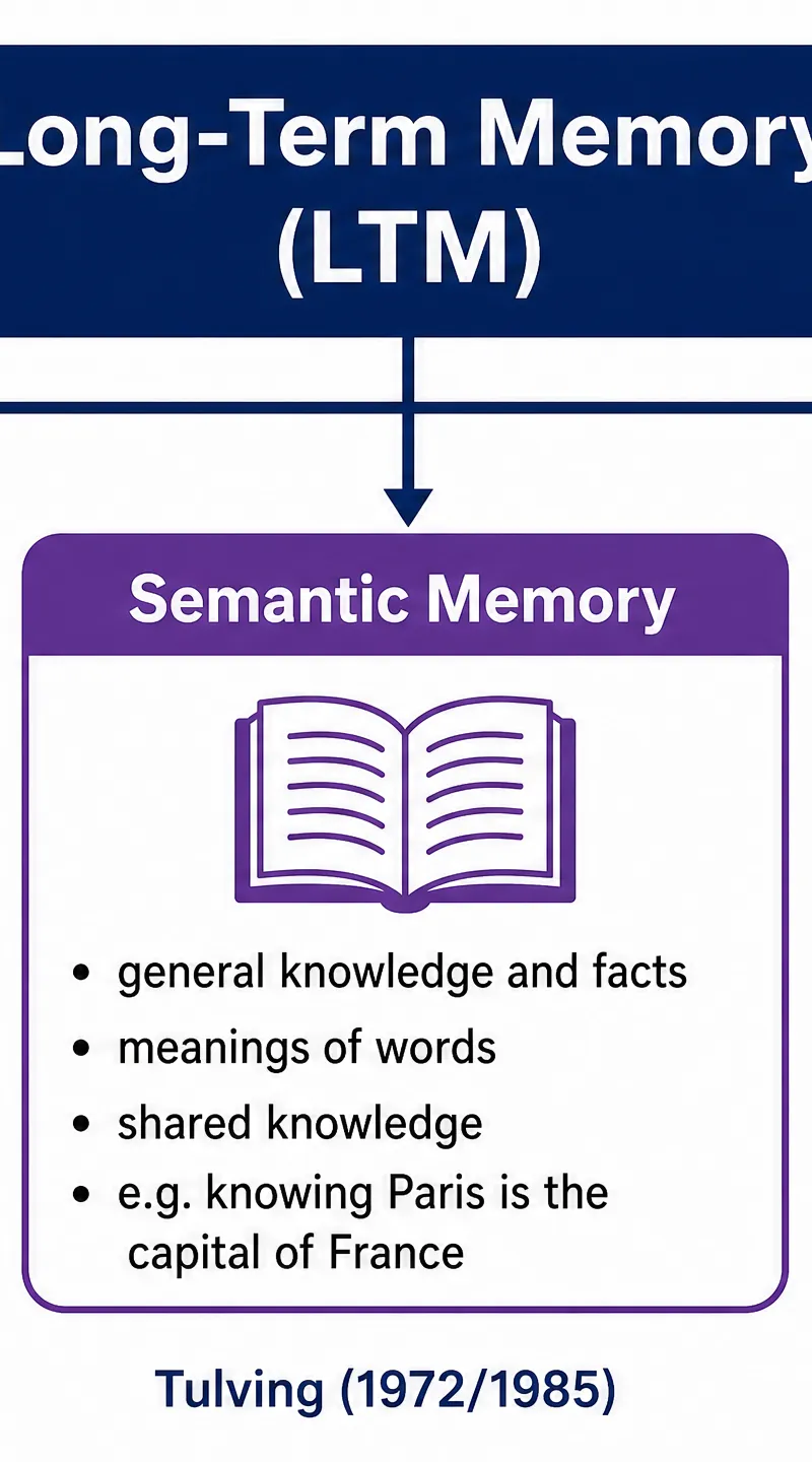 Types of Long-Term Memory (Tulving)