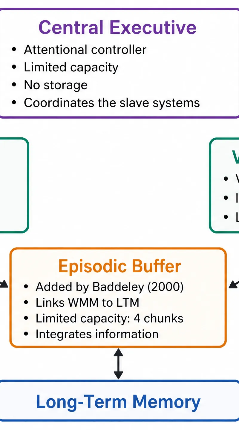 The Working Memory Model (1974/2000)