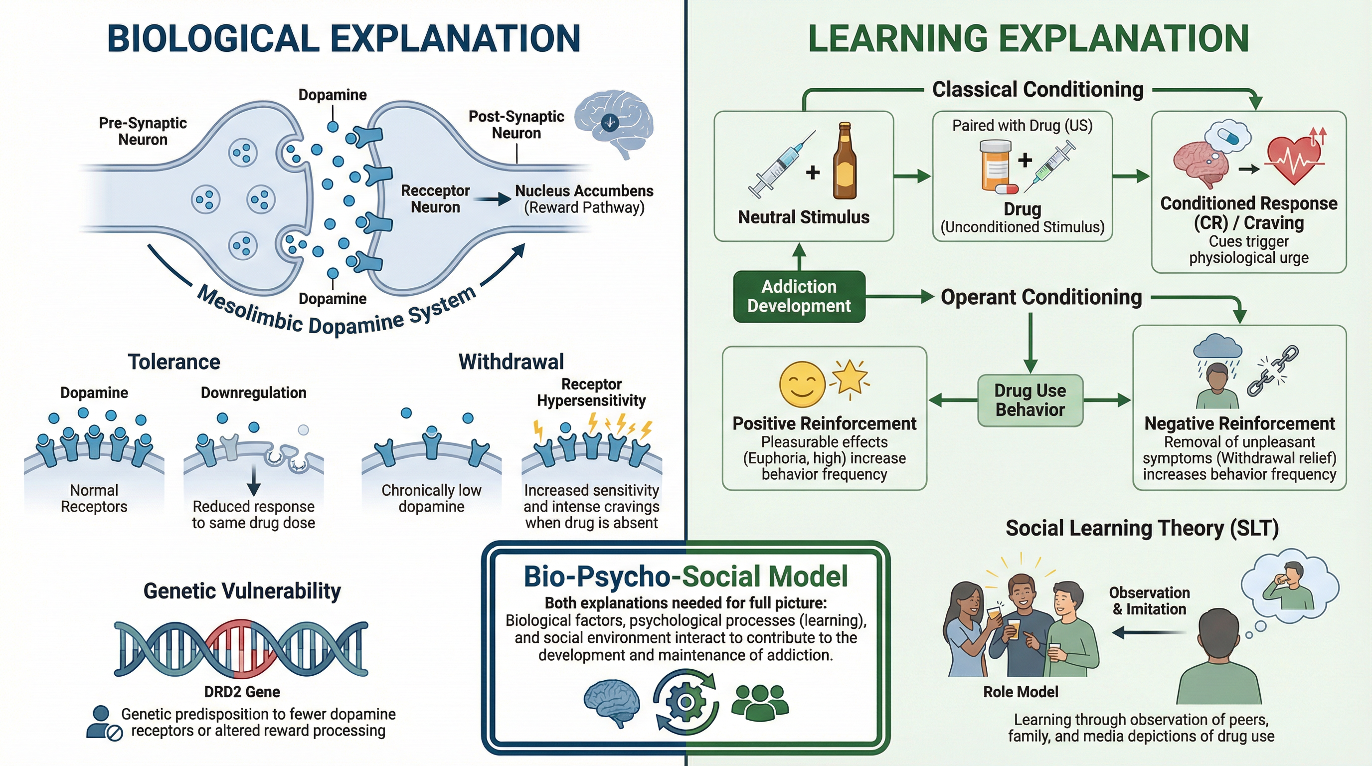 Health Psychology – Psychology – A-Level