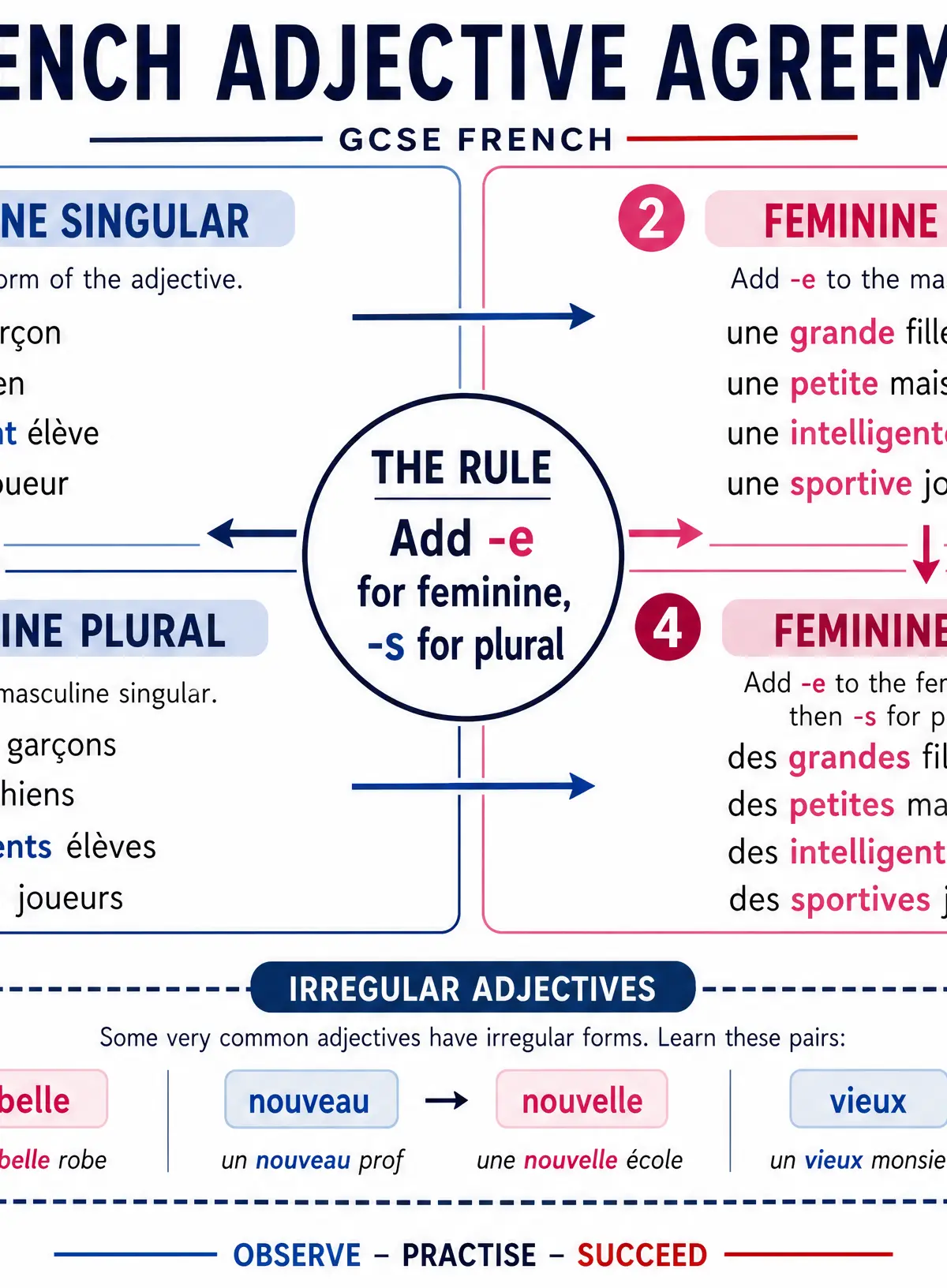 French Adjective Agreement Rules