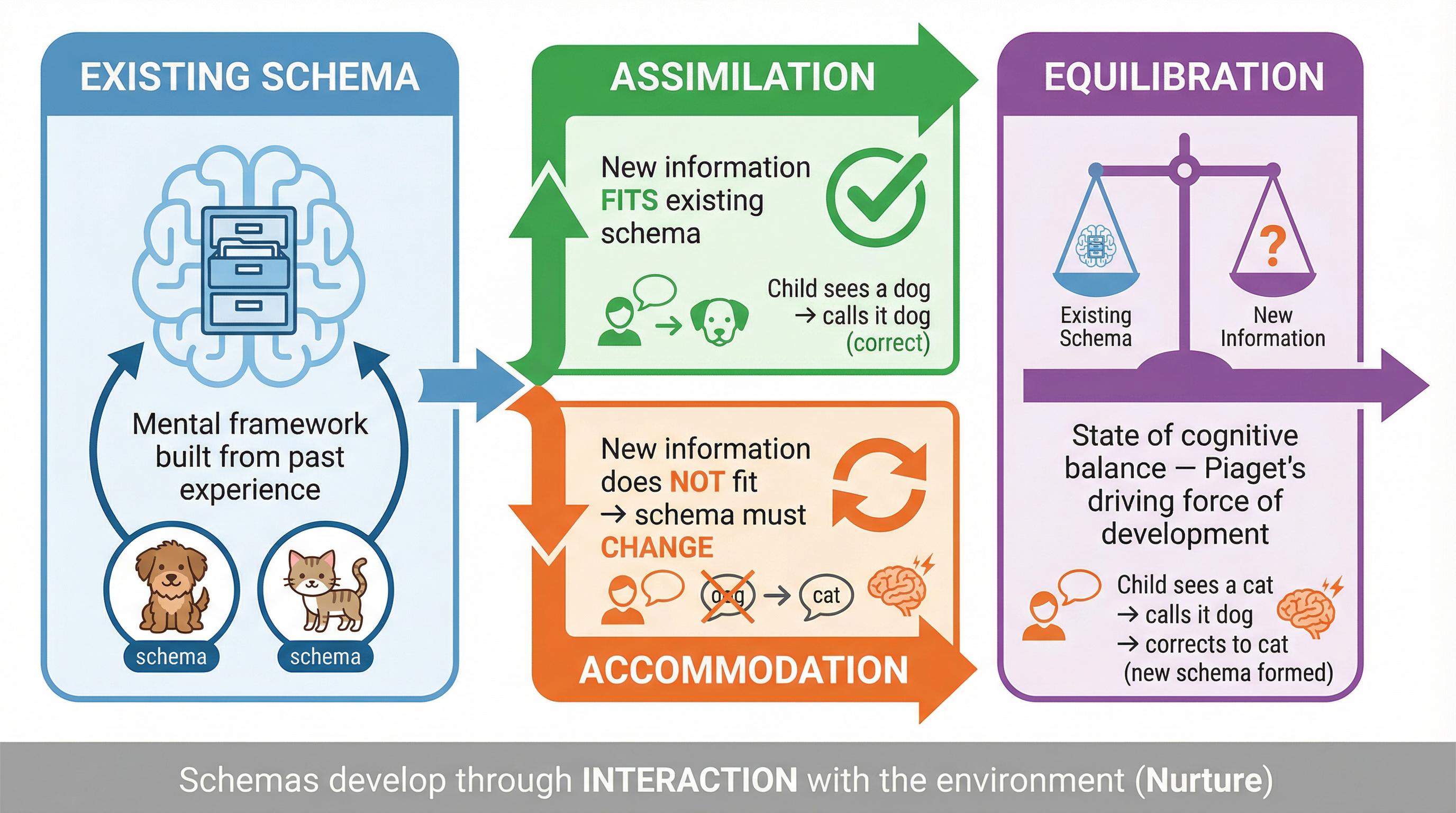 Theories of Development – Psychology – GCSE