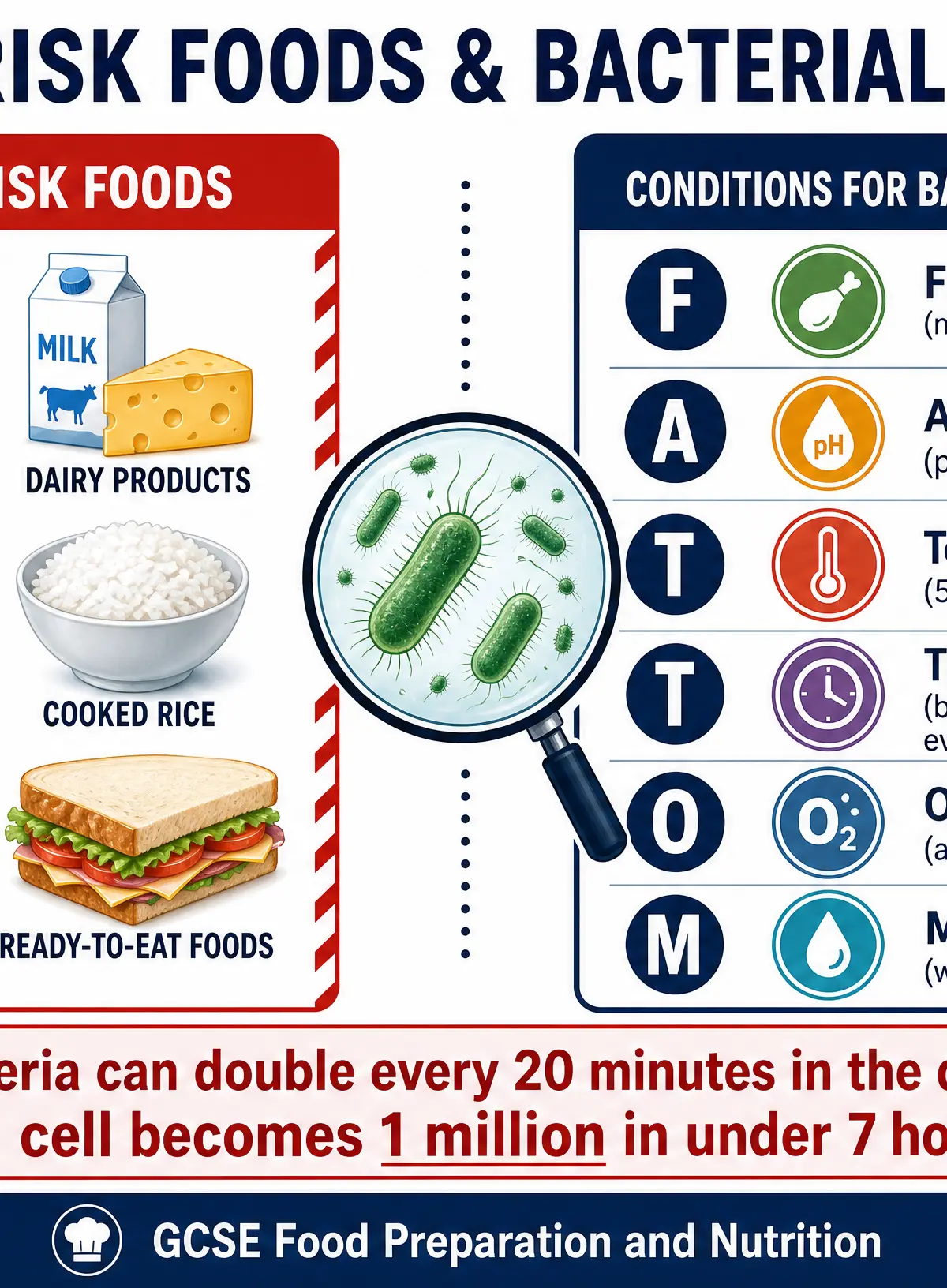 High-Risk Foods & Bacterial Growth
