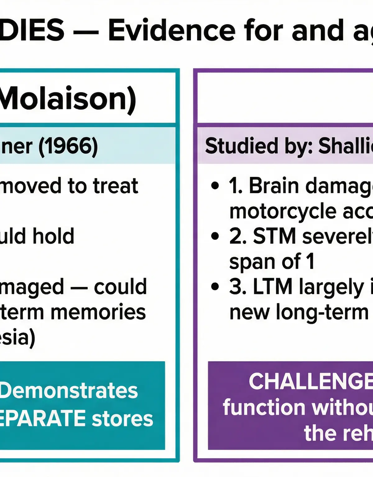 Key Case Study Evidence: HM vs KF