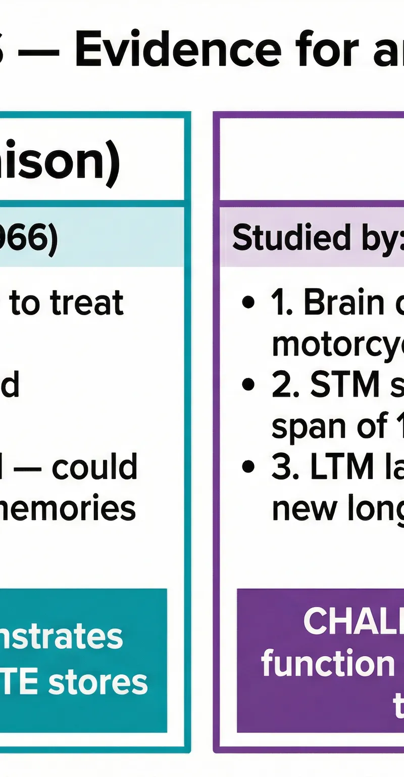 Key Case Study Evidence: HM vs KF