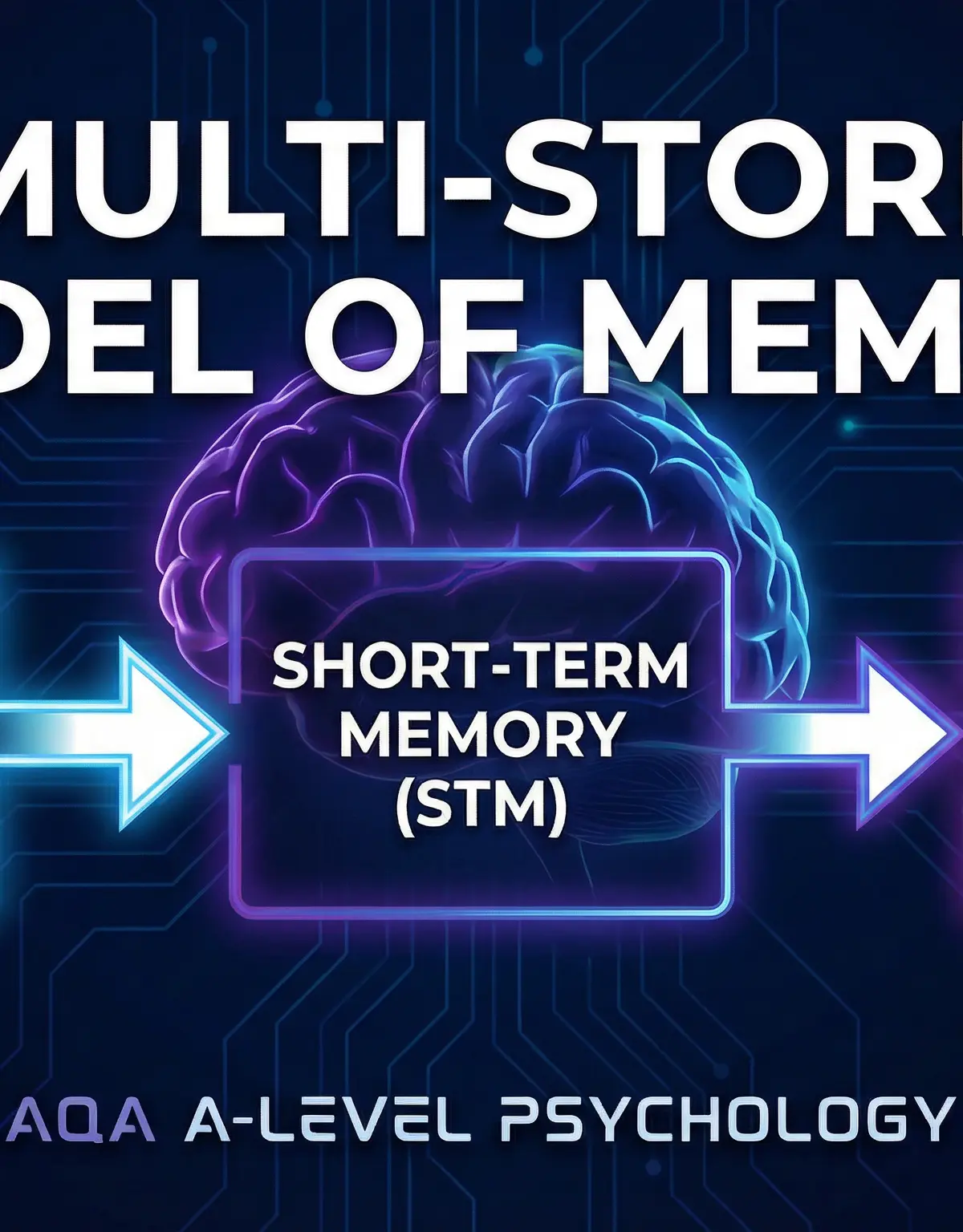 The Multi-Store Model of Memory - A Linear Journey