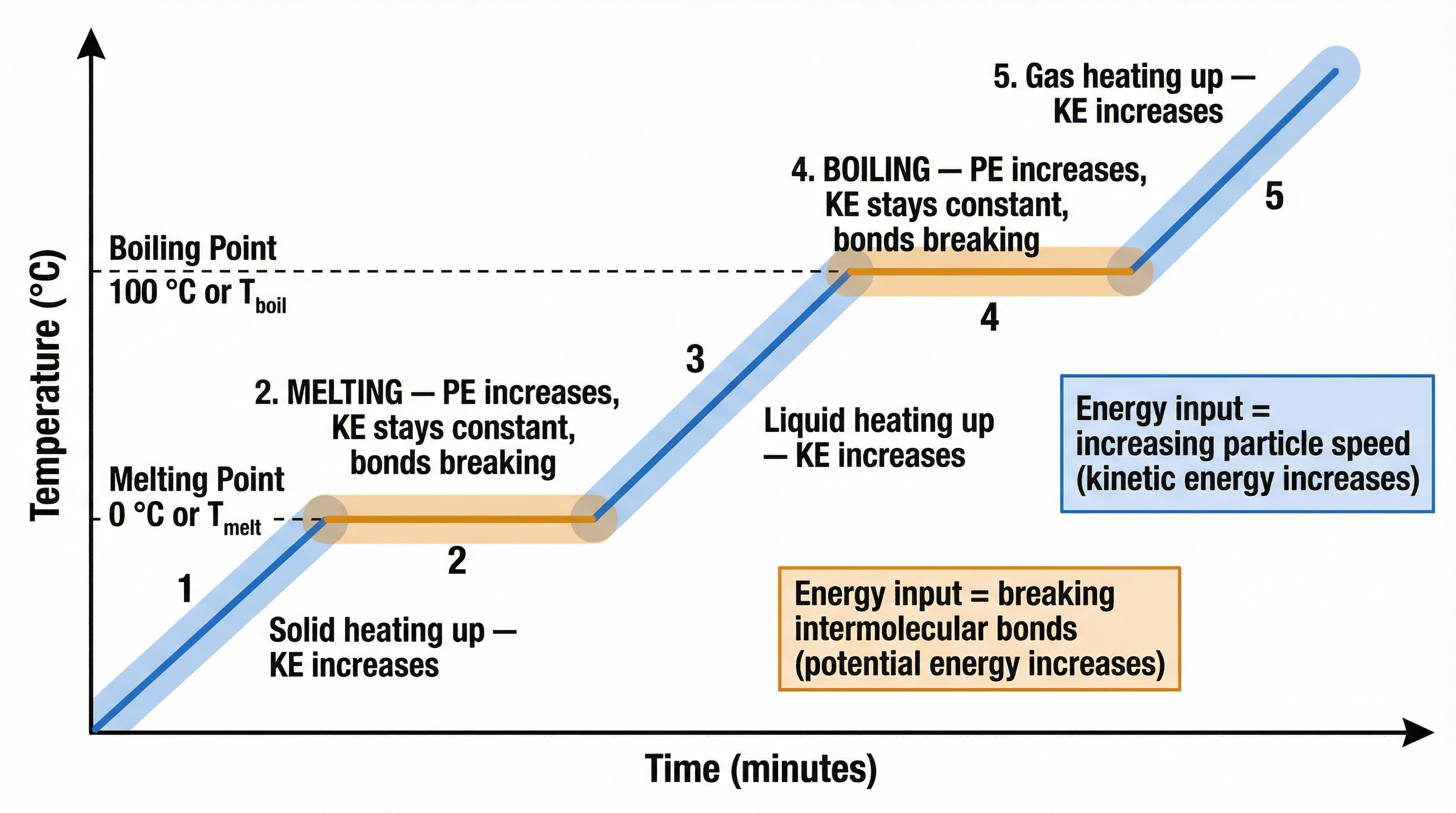 Annotated heating curve showing energy changes during changes of state.