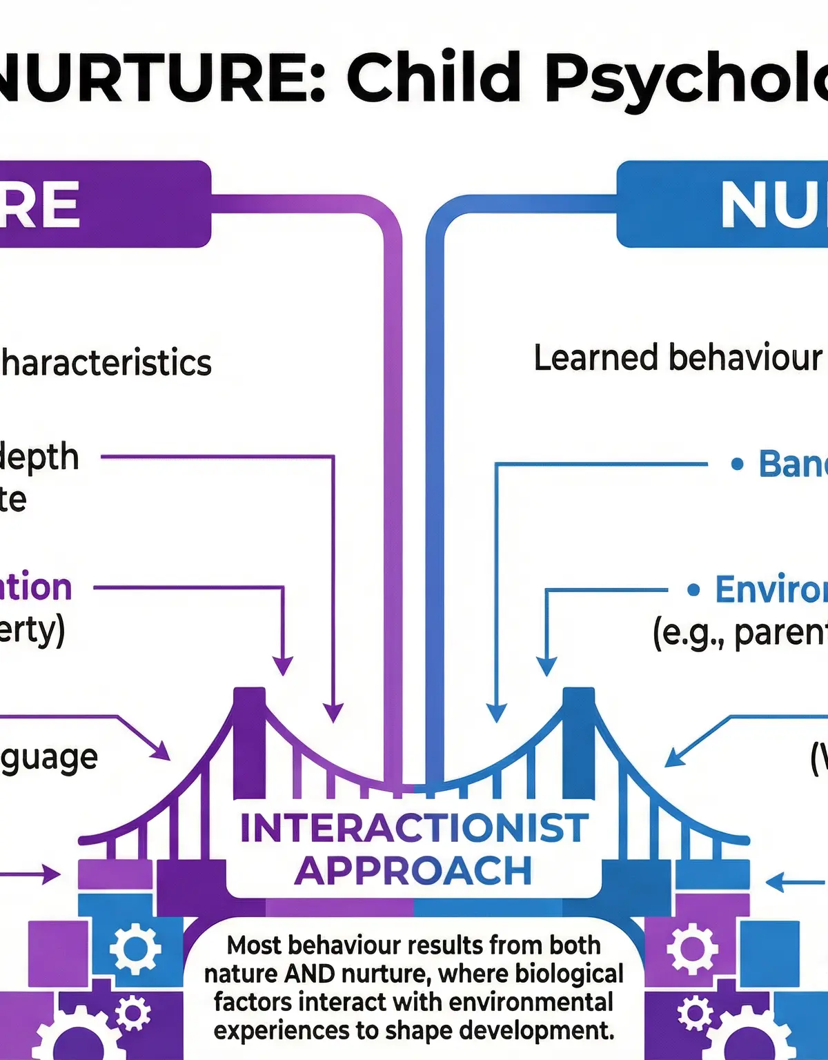 The Nature vs. Nurture Debate in Child Psychology.