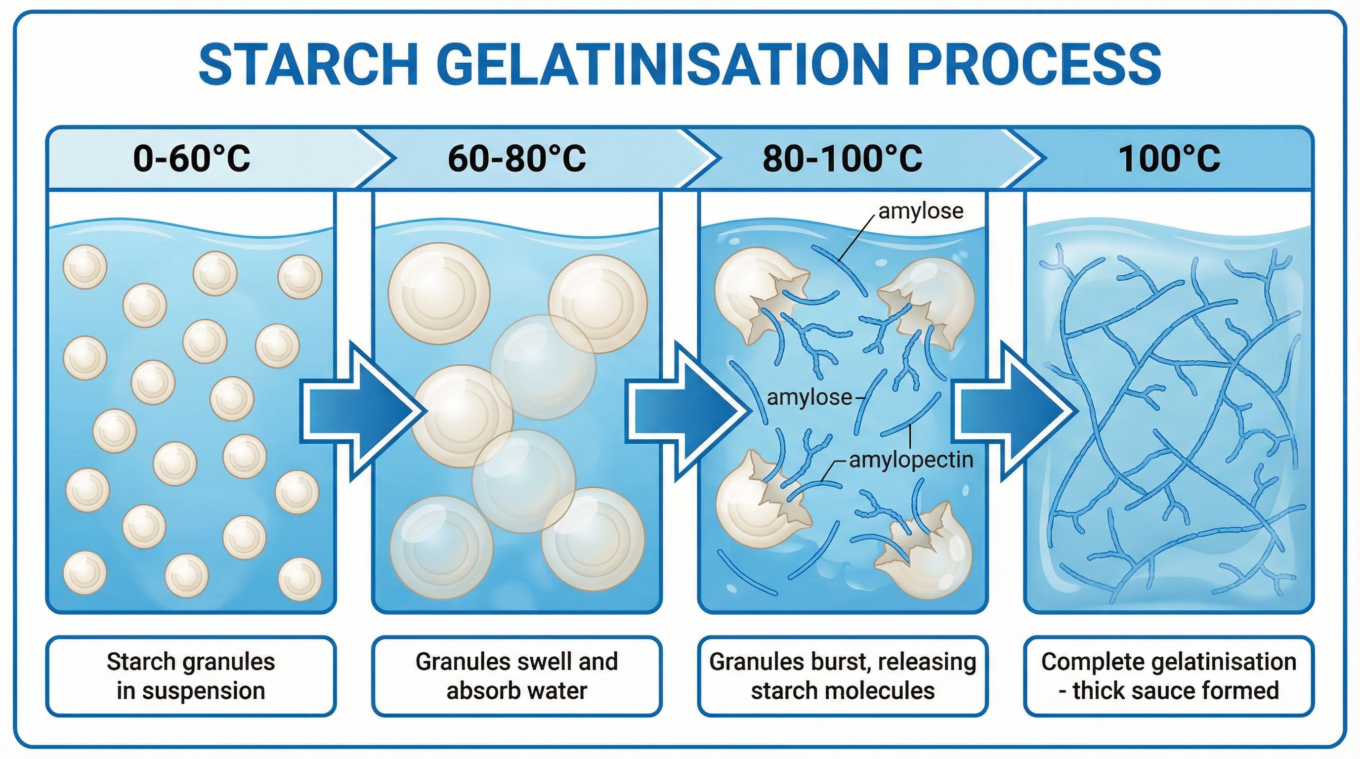 The effect of heat on food – Food Preparation and Nutrition – GCSE