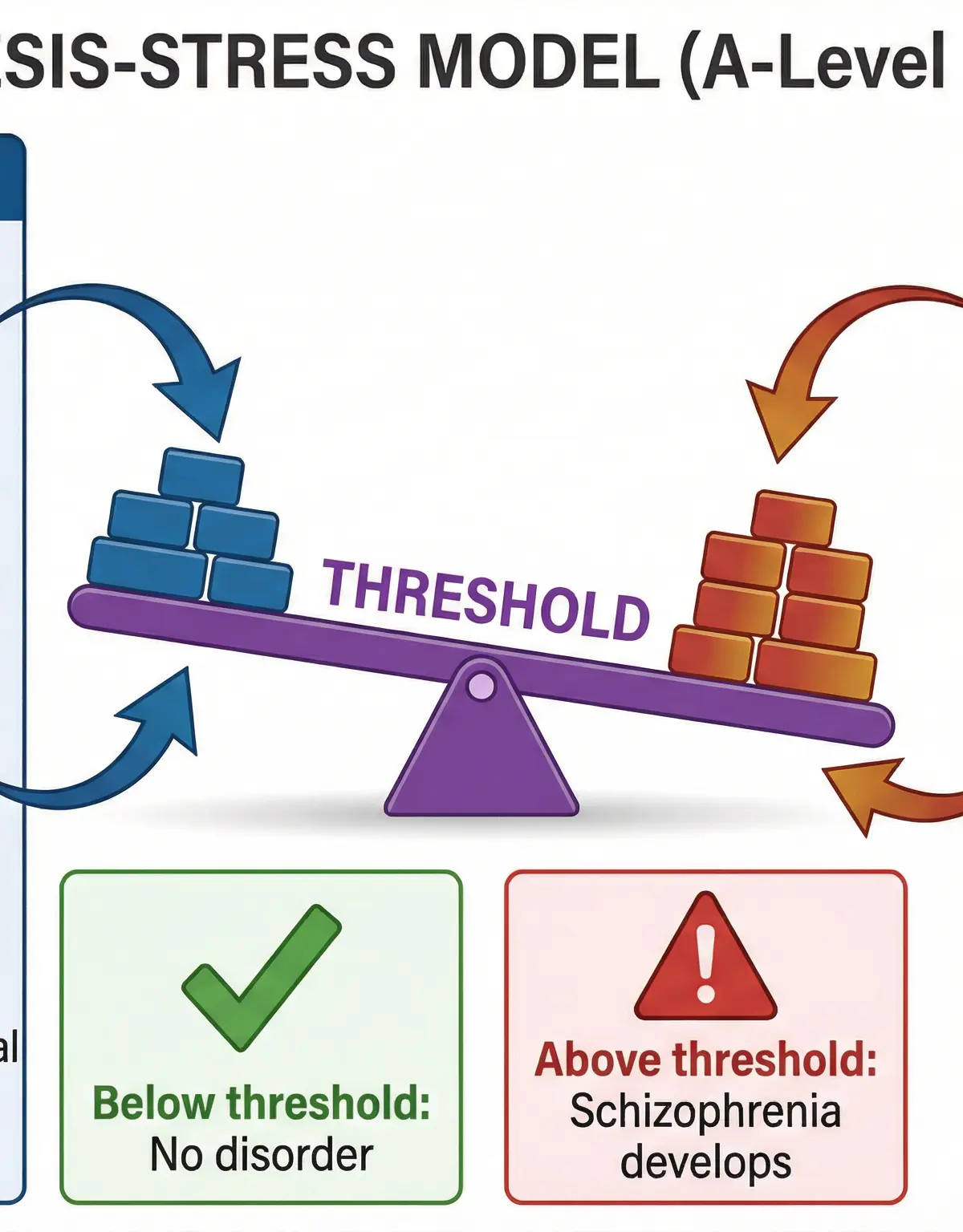 Interactionist Approach to Schizophrenia – Psychology – A-Level