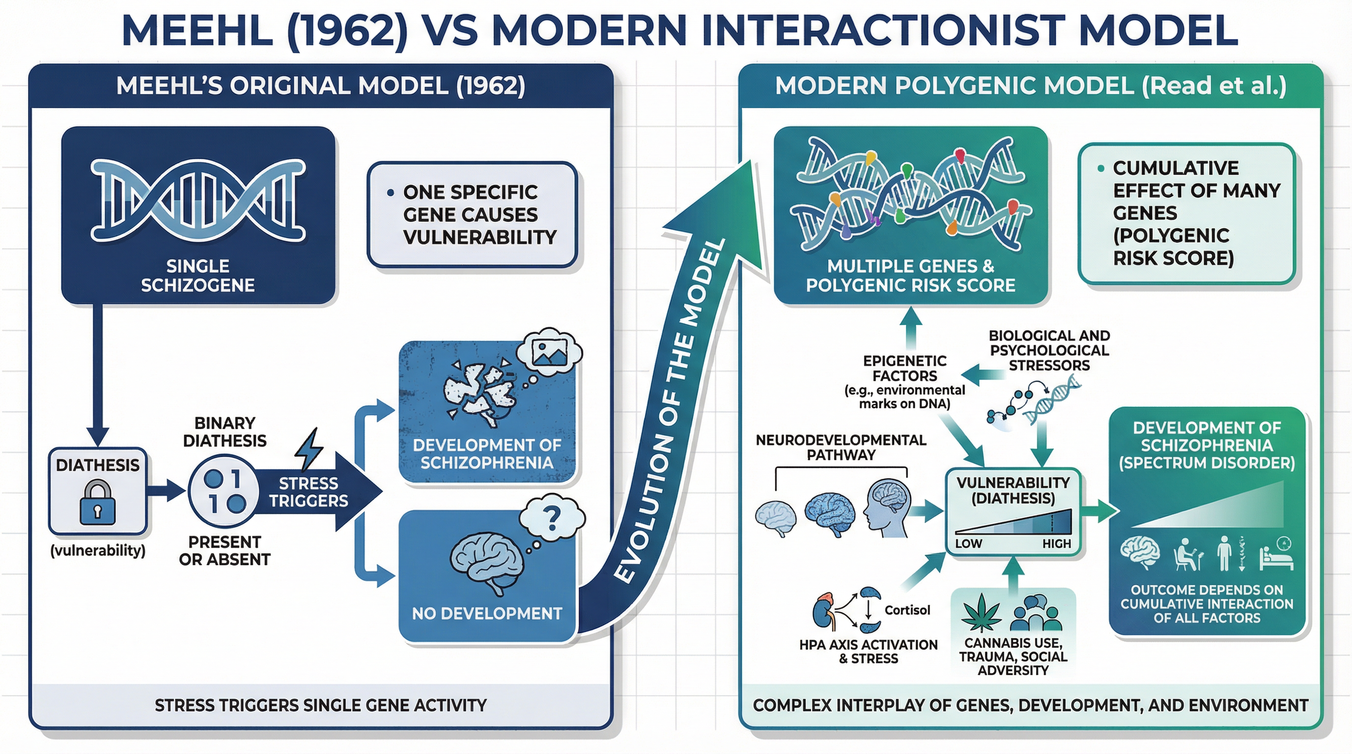 Interactionist Approach to Schizophrenia – Psychology – A-Level