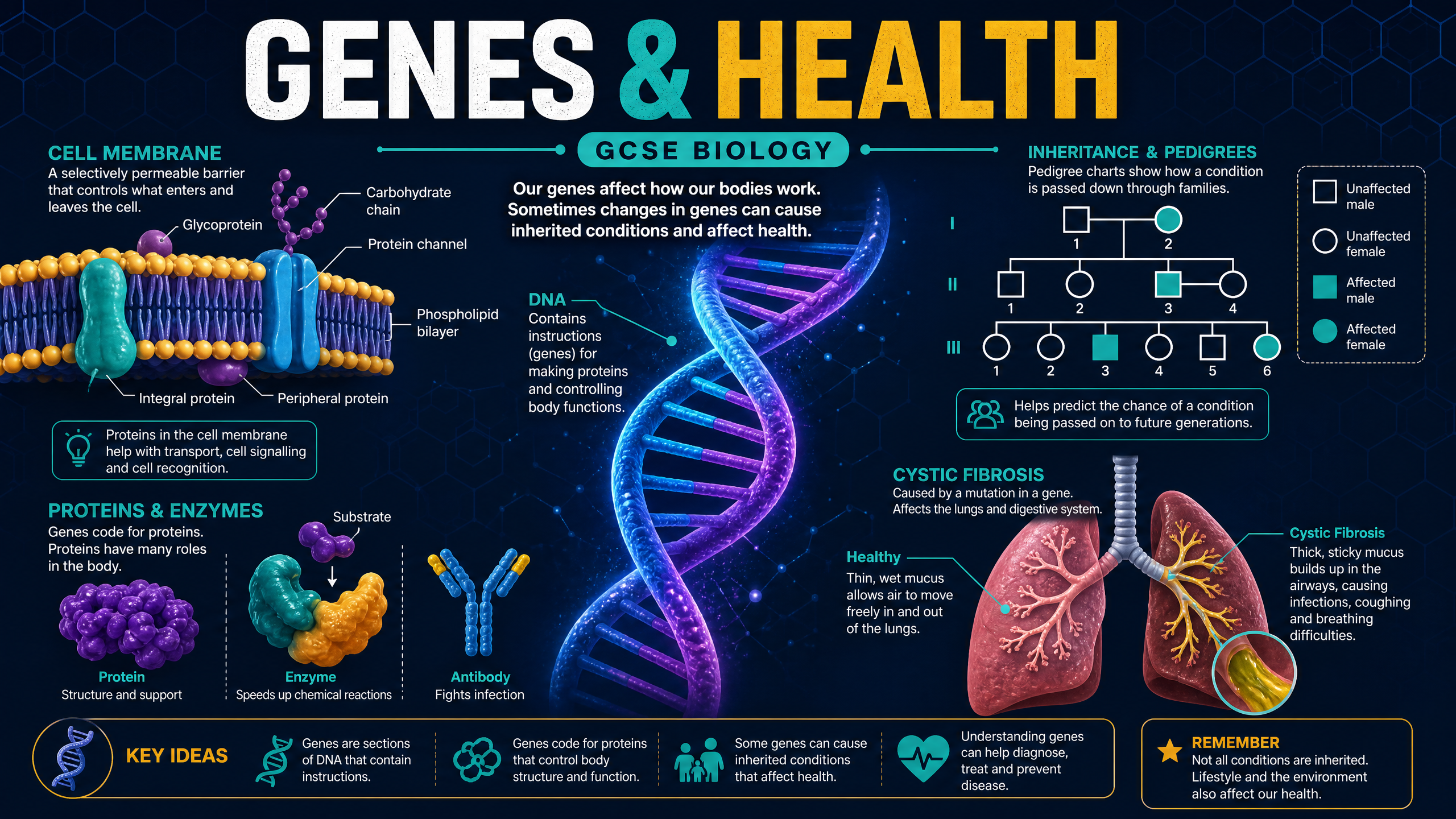 Header image for Genes & Health