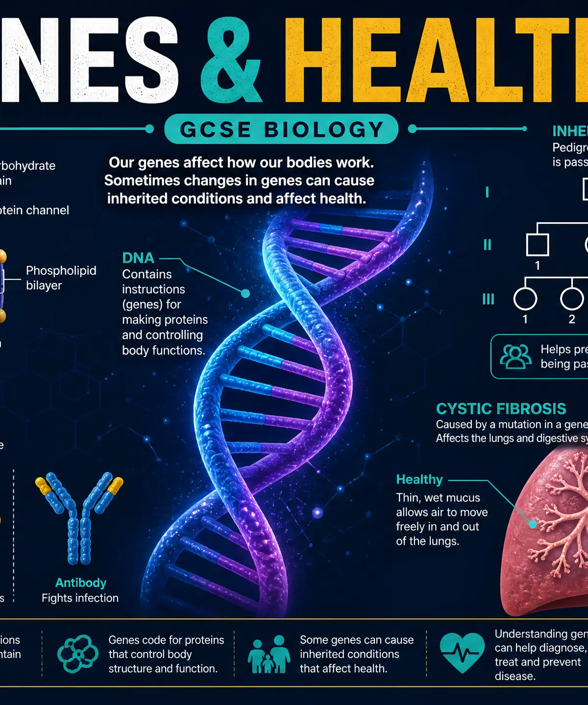 Header image for Genes & Health