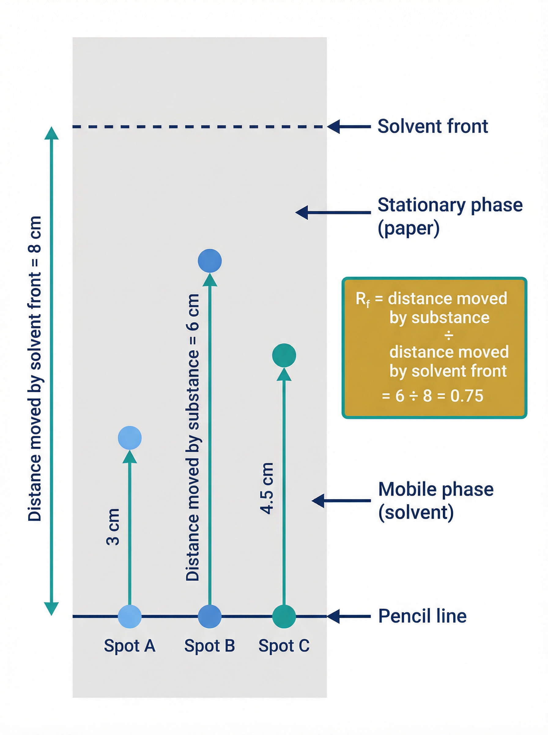Paper Chromatography and Rf Calculation
