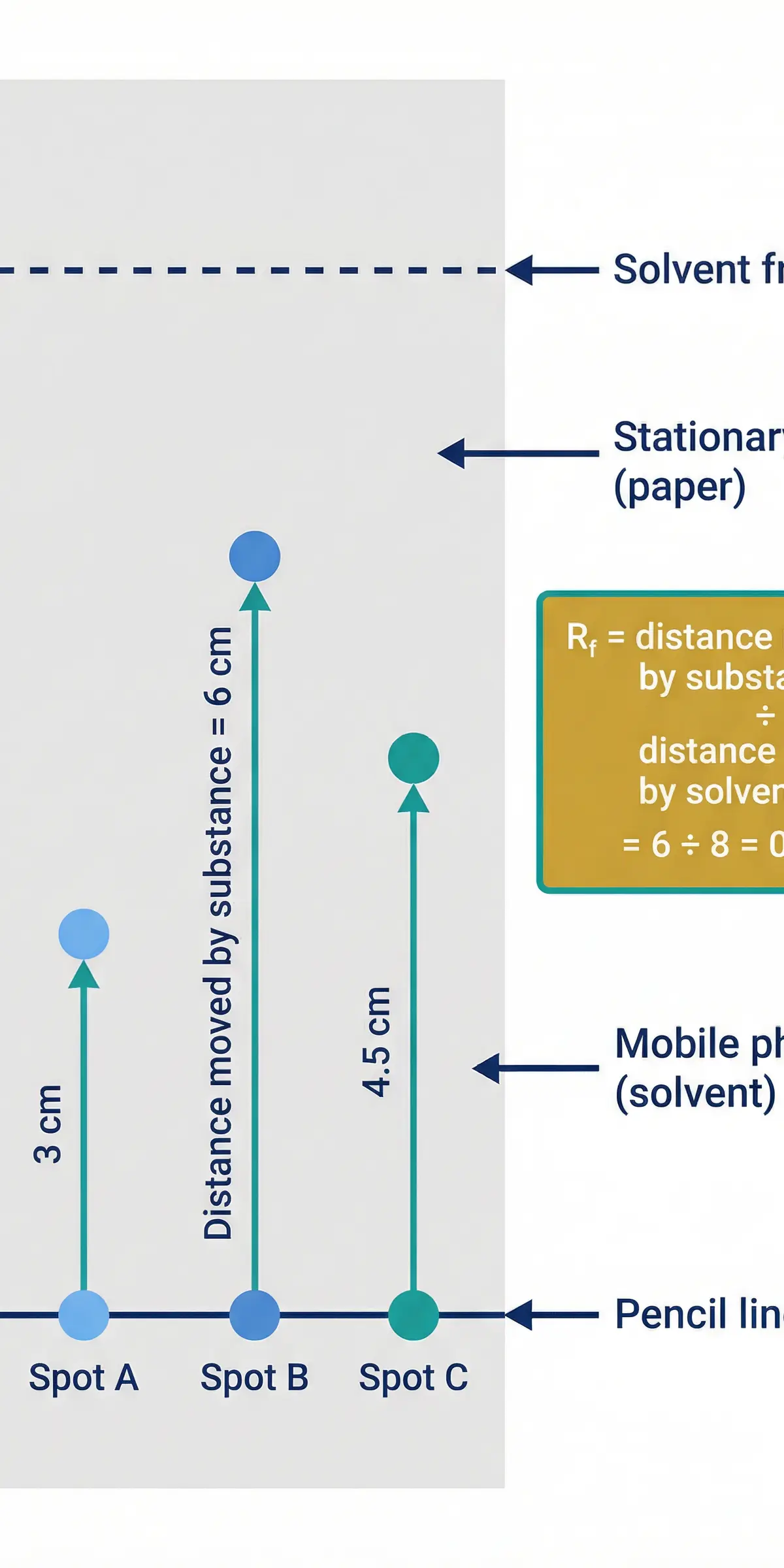 Paper Chromatography and Rf Calculation